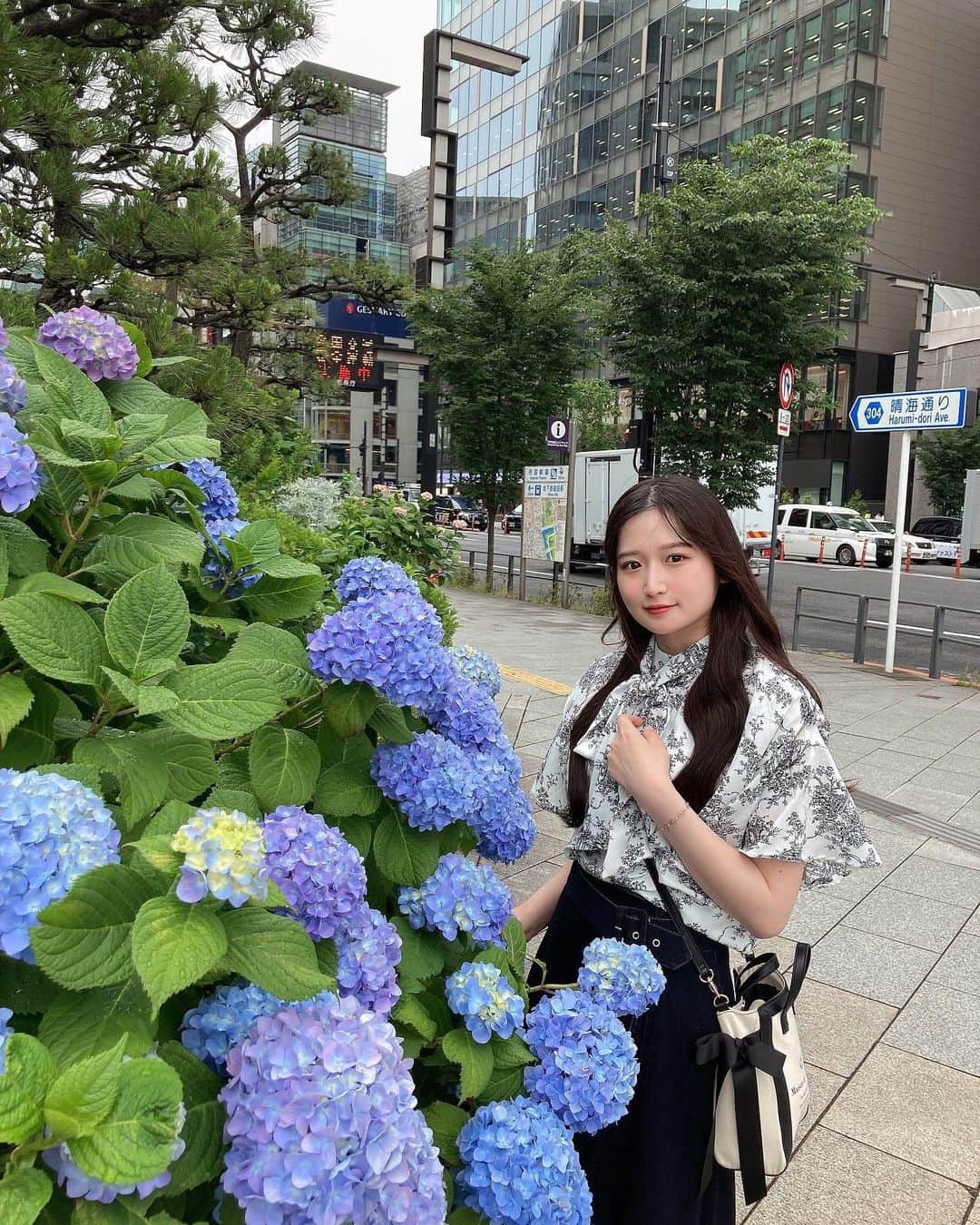 貝賀琴莉さんのインスタグラム写真 - (貝賀琴莉Instagram)「紫陽花の季節  #琴莉のとりこ #idol #アイドル」5月19日 23時43分 - 0112kako