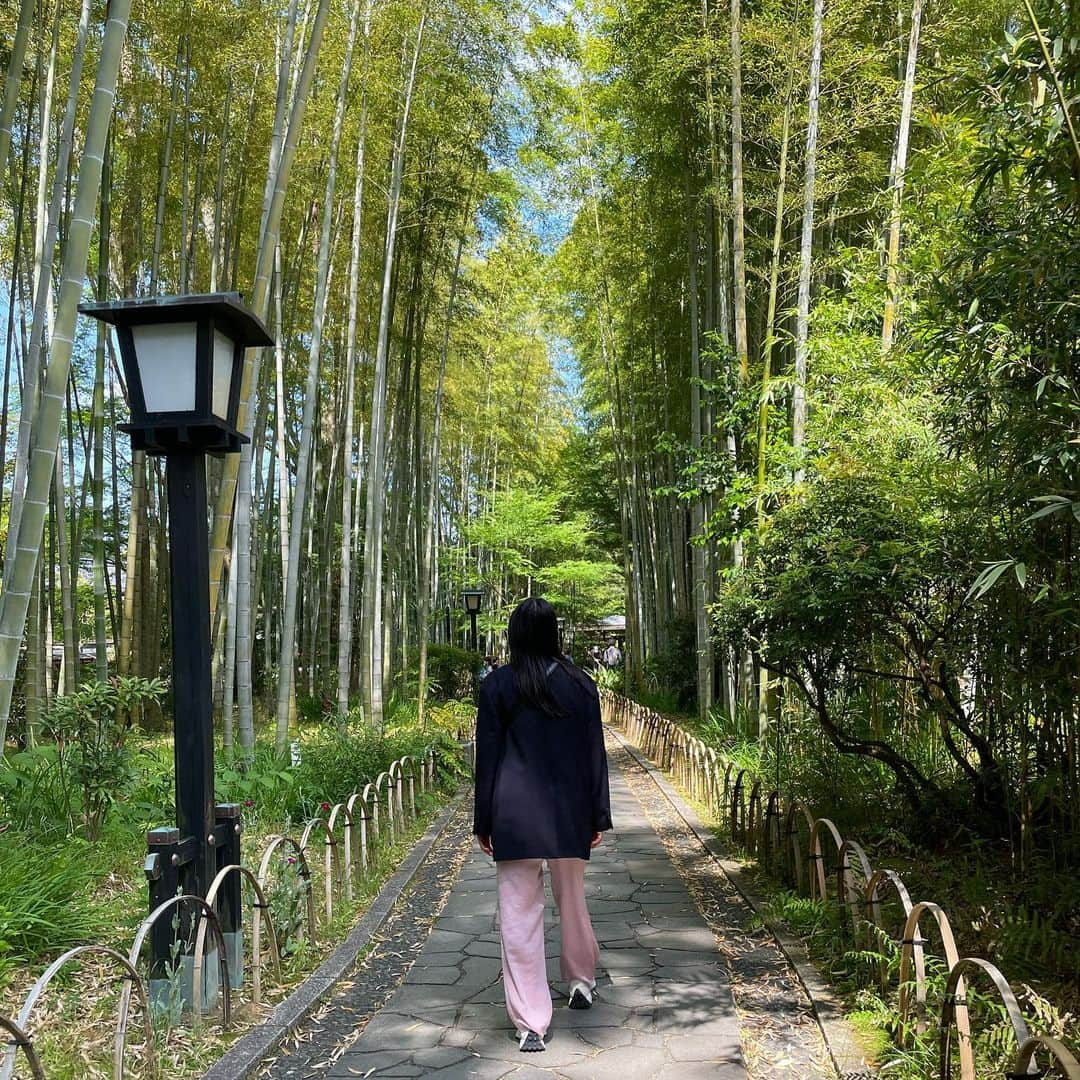 Yu-kiさんのインスタグラム写真 - (Yu-kiInstagram)「Trip in Izu🇯🇵Great food, nice countryside, perfect hot spring in a room, everything an amazing! 久々の温泉♨️心も身体も癒された🫶🏻日本人で良かった😌#izu#shuzenji#shizuoka#japan」5月19日 23時46分 - yu_ki96