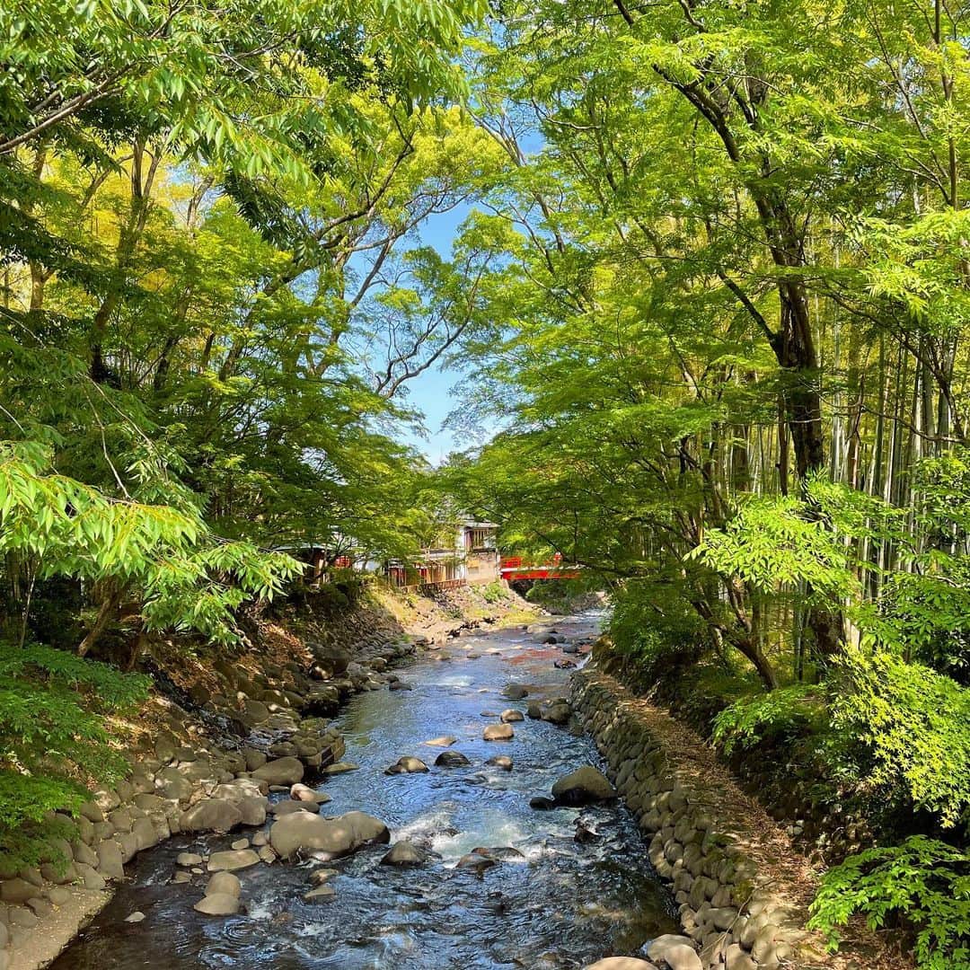 Yu-kiさんのインスタグラム写真 - (Yu-kiInstagram)「Trip in Izu🇯🇵Great food, nice countryside, perfect hot spring in a room, everything an amazing! 久々の温泉♨️心も身体も癒された🫶🏻日本人で良かった😌#izu#shuzenji#shizuoka#japan」5月19日 23時46分 - yu_ki96