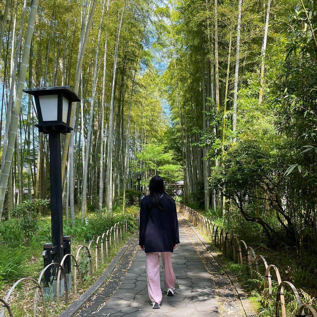 Yu-kiのインスタグラム：「Trip in Izu🇯🇵Great food, nice countryside, perfect hot spring in a room, everything an amazing! 久々の温泉♨️心も身体も癒された🫶🏻日本人で良かった😌#izu#shuzenji#shizuoka#japan」
