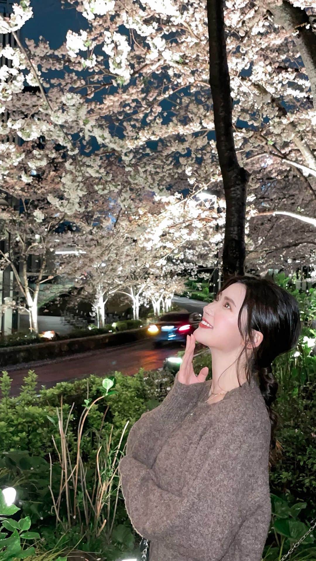 伊藤奈月のインスタグラム：「まだ少し肌寒かった頃の夜桜🌸🌝  #六本木  #ミッドタウン #六本木ミッドタウン #桜  #夜桜  #お花見」