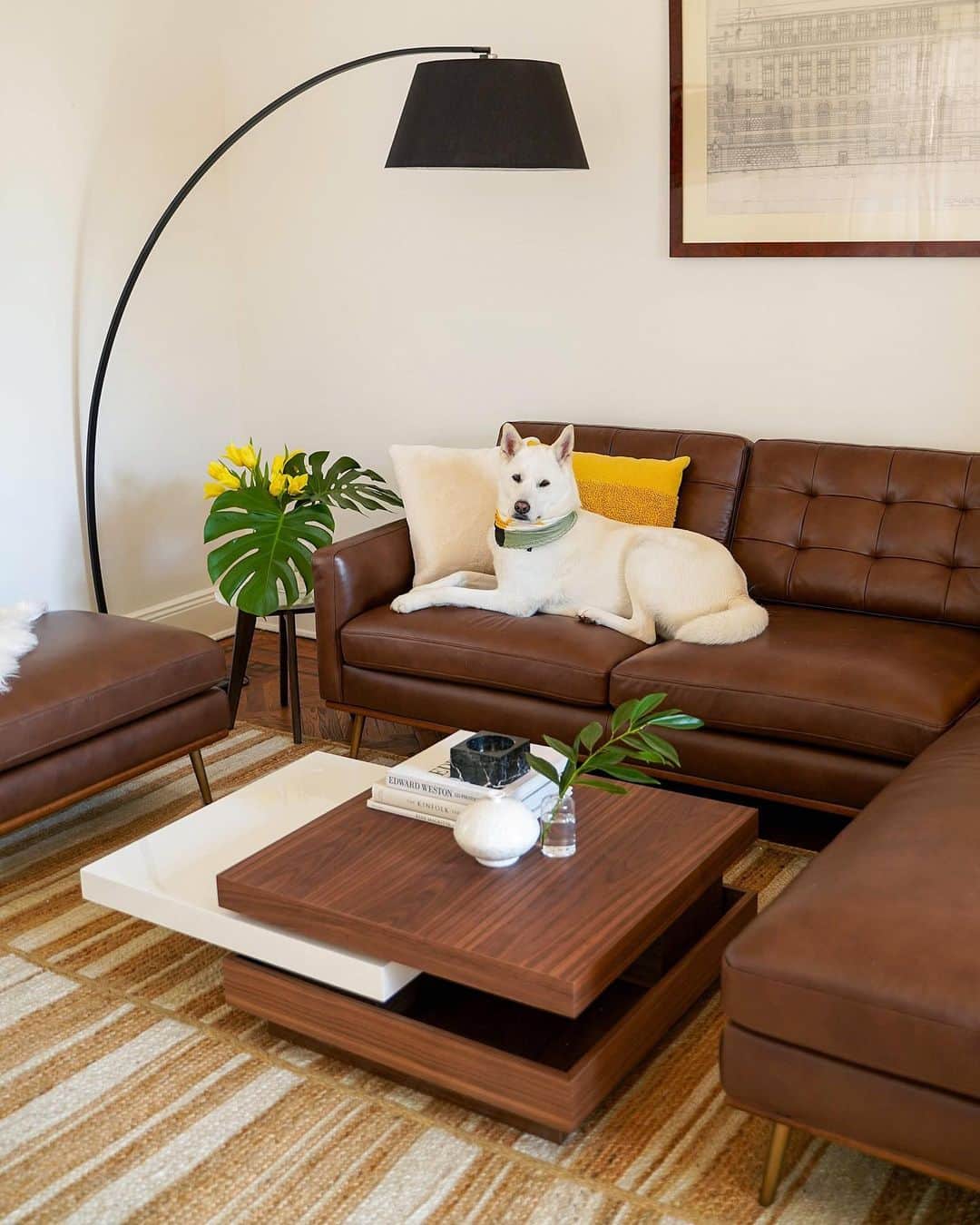 Menswear Dogさんのインスタグラム写真 - (Menswear DogInstagram)「✨This is your sign to give your dogs a living room Spring Refresh with @castleryus ✨  Rate the Bodhi and Luc's suave sofa stance from 1 to 10 👇  #AtHomeWithCastlery #homedecorideas #homedecortips #homemakeover」5月20日 0時53分 - mensweardog