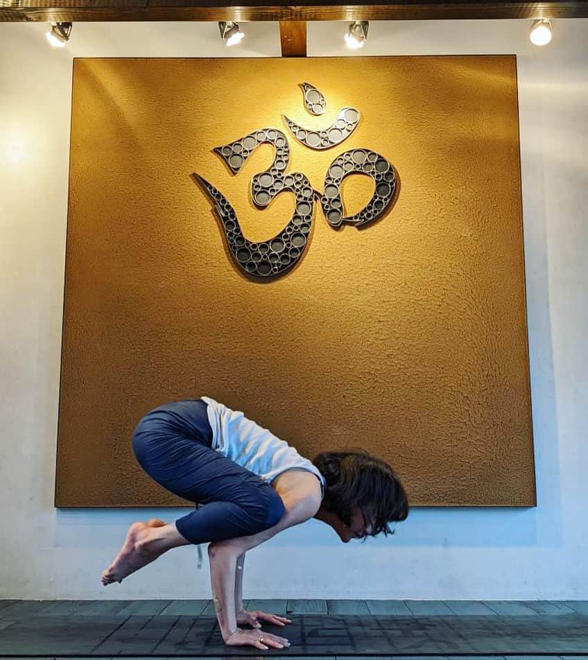 風間ゆみえのインスタグラム：「20年ぶりのBakasana   本当は肘を真っ直ぐにしないとなんだけどね、 一先ず。笑  @santhosha.yoga」