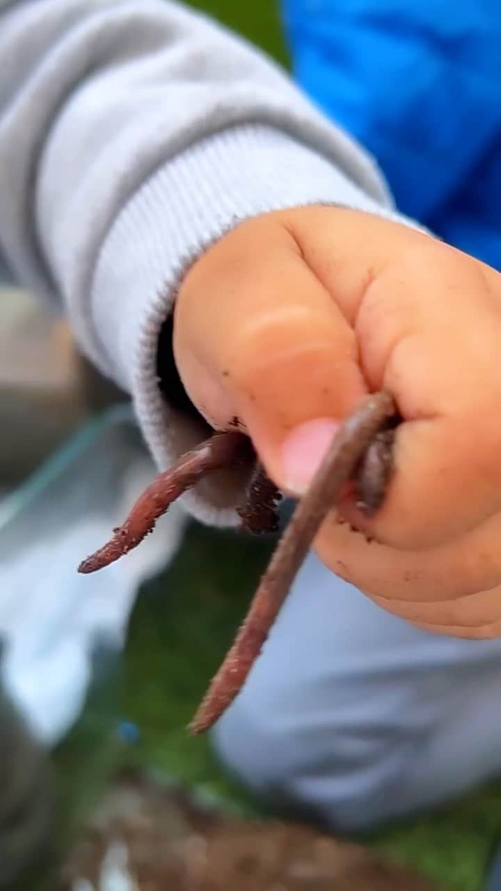 クリスティーナ・ミリアンのインスタグラム：「Grandma for the win.. @mscarmenmilian brought the boys some wiggly pets from her garden. And seeing as bug hunting and caterpillar collecting is their new thing.. they’re sure to INSIST that I get in on the fun. 🪱😉🐛  #momswithboys #momlife #naturelovers #worms #petworms #welovegrandma」