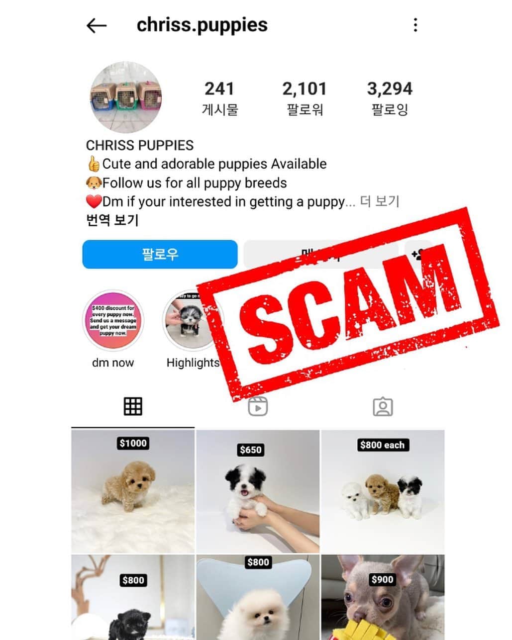 Rolly Pups INCさんのインスタグラム写真 - (Rolly Pups INCInstagram)「HOW YOU CAN AVOID SCAM  To protect our clients and followers, please read through the following to NOT to fall for a scam.  🚫We do NOT have other accounts other than ones we have on our verified contact page.  Please check our website for latest updates.  🚫We do NOT have RESELLERS. Regardless of anyone saying they work with us, we simply do not have any resellers selling our puppies on any other channels .  🚫We do NOT contact you directly on DM using any other account profiles. If anyone is contacting you to sell you a puppy through DM, please be aware!  🚫SCAMMERS are starting to ‘LIKE’ your comments and start recommending a scam profiles to purchase puppies from.  🚫There once was and still are a scammers selling a toy / doll using our videos.  We try very hard to take them down as soon as we see them. No, we do not have a doll or a toy dog. ;)  🚫Do NOT WIRE INTERNATIONALLY. Use a Credit Card so you are protected by a credit card company.  🚫Do NOT use INSECURE method of payment  - MONEY GRAM - APPLE PAY CASH - ZELLE - PAYPAL (FRIENDS AND FAMILY) - WESTERN UNION  📍If anyone is selling a puppy for $500-$1,000 with free shipping, be extra careful. If it sounds too good to be true, you know what it could lead to. Just shipping alone costs around $600.」5月20日 13時32分 - kpups.official