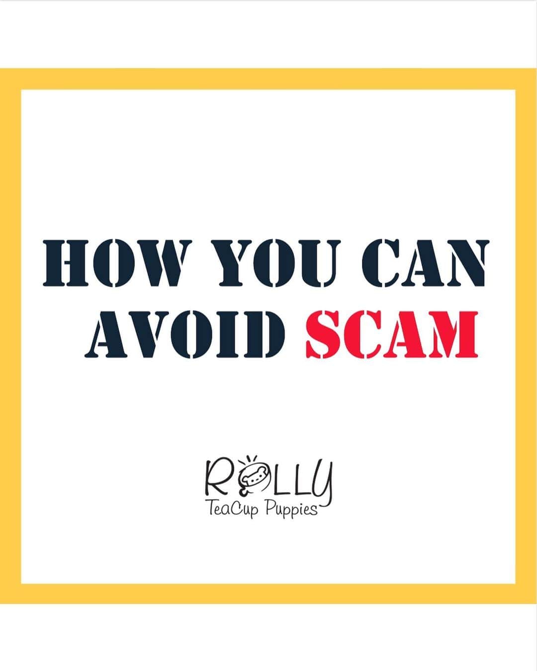 Rolly Pups INCのインスタグラム：「HOW YOU CAN AVOID SCAM  To protect our clients and followers, please read through the following to NOT to fall for a scam.  🚫We do NOT have other accounts other than ones we have on our verified contact page.  Please check our website for latest updates.  🚫We do NOT have RESELLERS. Regardless of anyone saying they work with us, we simply do not have any resellers selling our puppies on any other channels .  🚫We do NOT contact you directly on DM using any other account profiles. If anyone is contacting you to sell you a puppy through DM, please be aware!  🚫SCAMMERS are starting to ‘LIKE’ your comments and start recommending a scam profiles to purchase puppies from.  🚫There once was and still are a scammers selling a toy / doll using our videos.  We try very hard to take them down as soon as we see them. No, we do not have a doll or a toy dog. ;)  🚫Do NOT WIRE INTERNATIONALLY. Use a Credit Card so you are protected by a credit card company.  🚫Do NOT use INSECURE method of payment  - MONEY GRAM - APPLE PAY CASH - ZELLE - PAYPAL (FRIENDS AND FAMILY) - WESTERN UNION  📍If anyone is selling a puppy for $500-$1,000 with free shipping, be extra careful. If it sounds too good to be true, you know what it could lead to. Just shipping alone costs around $600.」
