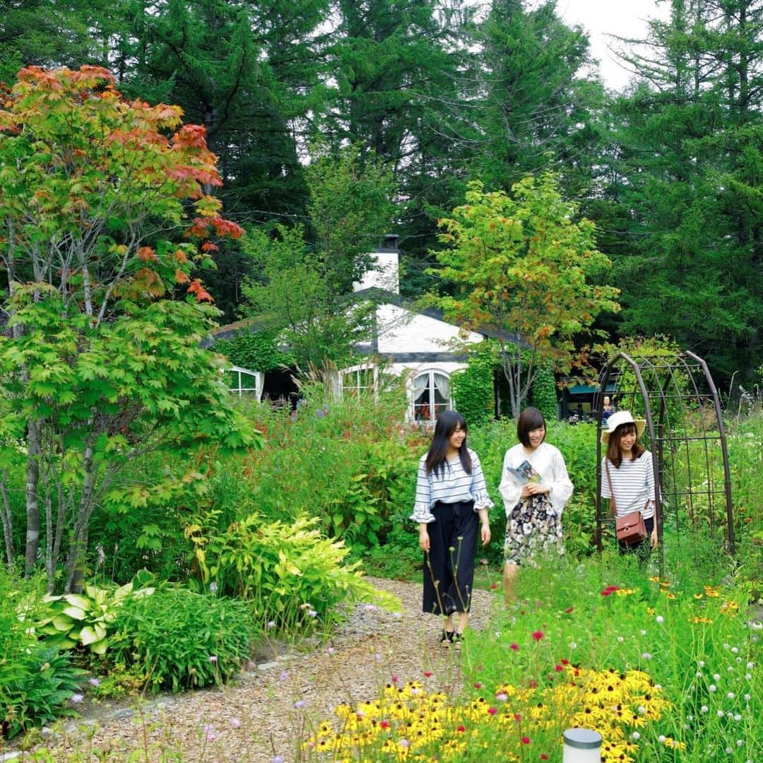 ANAさんのインスタグラム写真 - (ANAInstagram)「日本を旅しよう！✈️💙  様々な風景を楽しむことができる「丘のまち美瑛・ラベンダーのまち富良野」エリアをご紹介します😃 美瑛・富良野エリアへは旭川空港のご利用が便利です。  🌿彩豊で美しい丘陵景観として知られている美瑛エリア、ラベンダーを農作物として栽培した日本で最初の土地としても知られている富良野エリア。その一部は2022年1月に「十勝岳ジオパーク」として日本ジオパークに認定されています。  🌿美瑛・富良野エリアでは体験メニューが豊富です。雪解け水の影響で水量が増す春ラフティング、山開きが始まり本格的に山登りシーズンが到来する登山⛰  🌿美しい森と雄大な山々に包まれたリゾートエリア：富良野にある「新富良野プリンスホテル」敷地内にはドラマの舞台にもなった「風のガーデン」や、人気のツリーアドベンチャーなどのアクティビティーが楽しめます。 @shinfuranoprincehotel ♫SNS特典プラン📱もあります✨ https://ana.ms/3nNdlki 「富良野エンジョイクーポン3枚付き（お一人様１泊あたり）」 エンジョイクーポンの詳細はこちら👉https://www.princehotels.co.jp//file.jsp?id=406460 対象期間：2023年4月28日～2023年10月31日  その他の航空券付きプランはこちら✈ https://ana.ms/3VPLVGU  ホテルのご予約はこちら🏨✨ https://ana.ms/44KBhFv  詳しくは「世界の支店から、こんにちは！」をご覧ください🤗  https://ana.ms/437jczO  #allnipponairways #ana #airplane #airport #japantrip #trip #飛行機 #travel #日本を旅しよう #旅行 #visitjapan #visit #旅行  #北海道 #旭川 #美瑛 #富良野 #十勝岳 #ラベンダー #山登り #ラフティング #ツリーアドベンチャー #風のガーデン#hokkaido #biei #furano」5月20日 13時26分 - ana.japan
