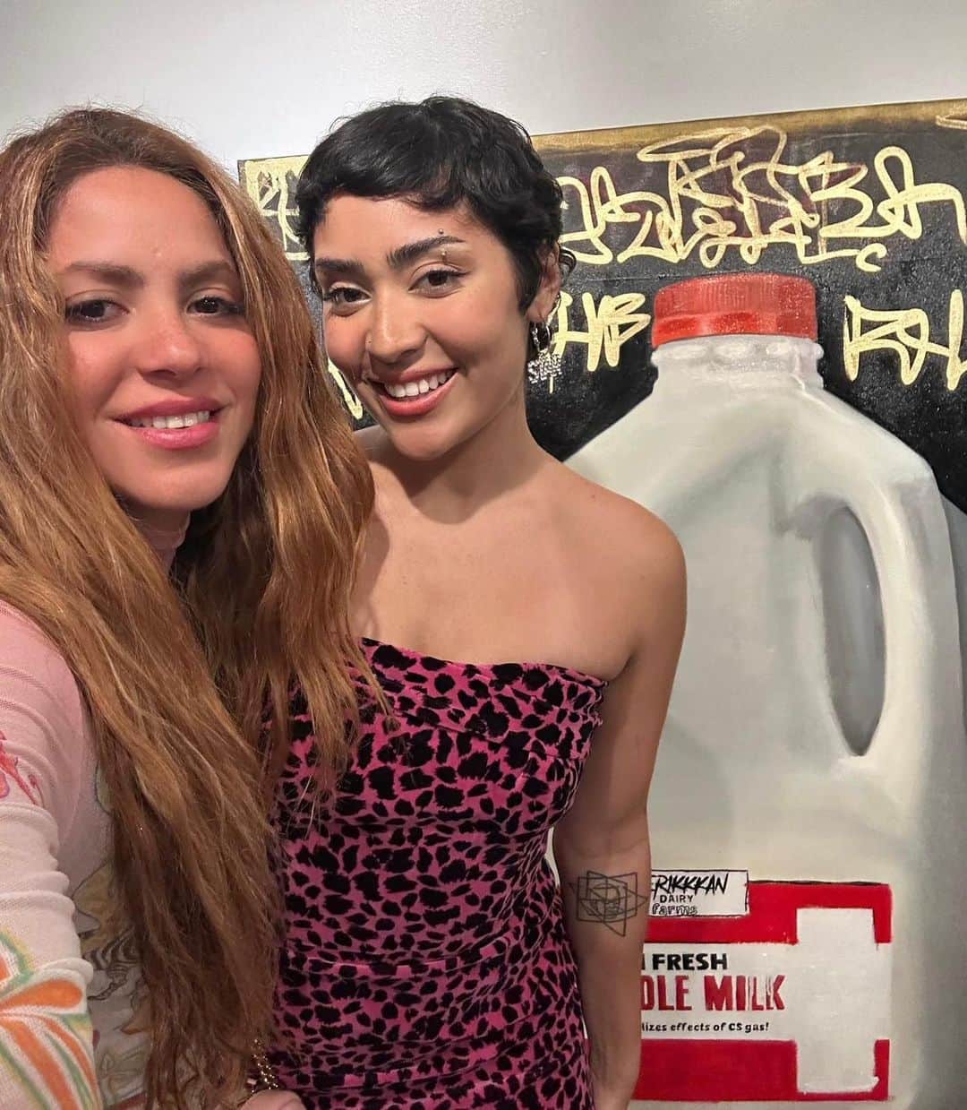 シャキーラのインスタグラム：「Con mi sobrina Isabella Mebarak @isabellamebarak anoche en su exhibición en Miami. Al fondo “Amerikkkan” su obra protesta sobre Black Lives Matter. One of my fav!」
