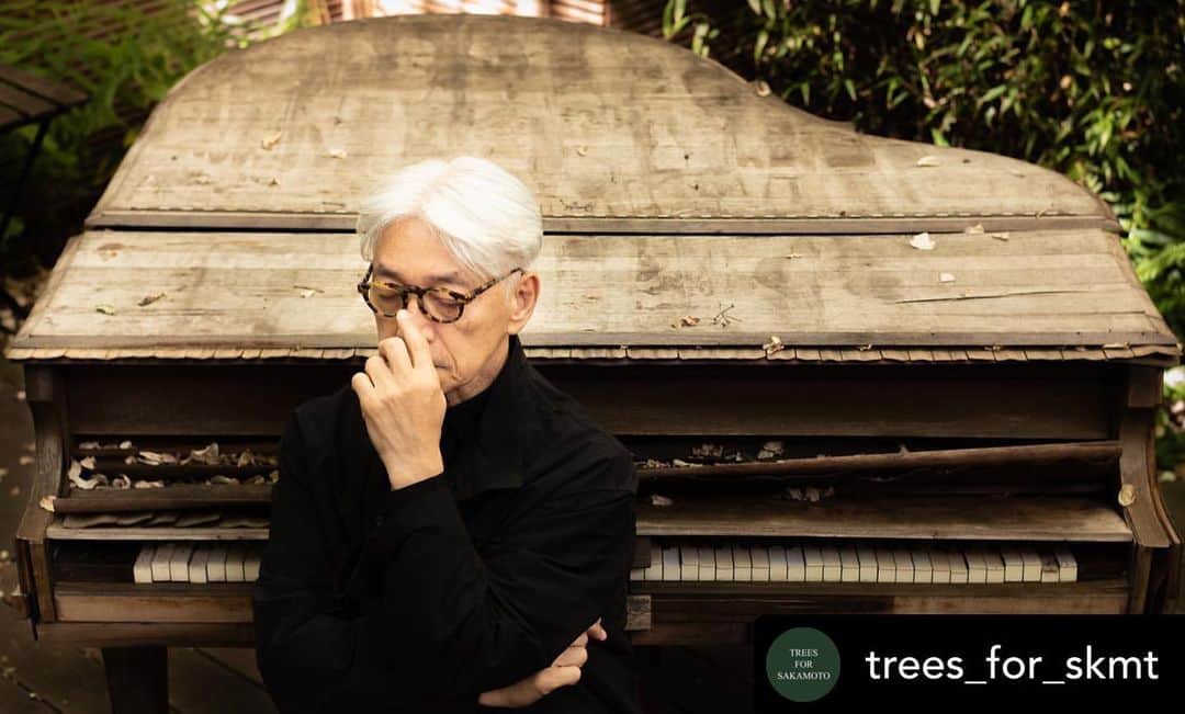坂本龍一のインスタグラム：「TREES FOR SAKAMOTO  Once the donation recipients and system have been established, we will start accepting donations here on our website. We will keep you informed with updates on our social media channels, so please stay tuned and bear with us for a little while.  - skmt management   Link in bio  re-post • @trees_for_skmt Humanity has coexisted with forests. Where forests have collapsed, civilizations have perished. Now, forests are collapsing all over the world. Is this not a warning of the demise of human civilization?  Let’s at least plant trees.   - Ryuichi Sakamoto (excerpted from “more trees” website, 2007)  人類は森とともにありました。 森が崩壊したところでは 文明が滅んでいきました。 今、世界中で森林が崩壊しています。 これは人類文明全体の滅びへの警告と 言えるのではないでしょうか。  さあ、せめて木を植えましょう。  坂本龍一 (more trees WEBサイト 2007年より引用)  人类与森林共存已久。 在森林倒塌之处， 文明也逐渐消亡。 如今，全世界的森林正在崩溃， 这不正是对人类文明灭亡的警告吗？  那至少，让我们尽力去种植树木吧。  坂本龙一 （引用自more trees官方网站 2007年）  #trees4skmt #坂本龍一 #ryuichisakamoto #skmtnews #trees4skmt #moretrees @moretrees_jp」
