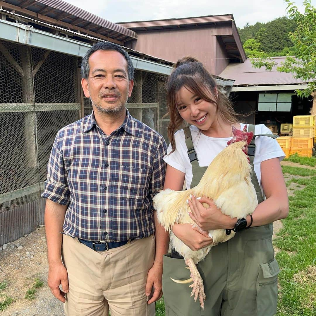 HIMAWARIのインスタグラム：「【鶏に育てられている】  田中さんのところにまたまた伺いました。  自給自足を実行し 今度は自分だけではなく 今後の日本人の未来の為に 自給村を作ることを考えています。  物質社会に生まれ、生きることで お金や労働、人の生き方に違和感を感じ 自らの力で生きていこうとする、生きている田中さん。  一言で言うなれば 達観している、 カッコいい漢です。  田中さんの真っ直ぐな人柄と想いを聞いていると 「何か手伝えることがないか」 と自然とそう思います。  実際に額に汗を垂らし身体を動かすことで見えてくるもの 感じるものがあると田中さんはよく仰ります。  本当にその通りで  東京に居ていくら村の現状、 農業、畜産、林業、漁業の今を調べていても  実際に行って現実を見て、知って体験をしないと  本当の意味での  「発信者」  にはなれないということです。  田中さんの想いや思想、やっていることが 「A」だとしても それを実際に見ずに感じずに私が伝えたら 全く違う「Ｚ」として皆んなに伝えてしまっているかもしれない。  しかしリアルに体験し体感すると そっくりそのまま「A」として伝えることはできずとも 「C」か「D」くらいで伝えることはできるかもね？ とそういうことなのです。  私たちの原点であり、 最終的に行き着く先、目指すべき場所は 自給自足であると頭ではわかってはいても 実際に行動に移さない人が殆どであろう。 物質社会に生まれ経済主義、資本主義の中で当たり前に生きていると本当に大切なものは見失なう。 お金がなくなった時にそこに残るものはなんだろう？  お金を稼ぐ人が偉い お金を持ってる人が凄い お金がないと幸せになれない  と、このような刷り込みと常識の中で 生きていると人間としての幸せや悦びは果たして一体どこにあるのだろうと考えさせられる  「鶏を育てているようで 鶏に育てられている」  田中さんの奥様が仰っていたこの一言が深いなぁと。  鶏を育ていのちをいただくことで 人間としてのしあわせや生きる意味なんかを 學ばせてもらっているんだなぁって。  餌にわけのわからない物を混ぜて 黄身の色を本来のレモンイエローではなく 赤っぽくしたりオレンジっぽくしたりって それ何のため？  鶏達を24時間電気がついているところで管理して決まった時間にレーンから餌が出てくる。そして卵を産め産めと産みたくもないのに産まされる。  鶏はロボットじゃない。  命です。  鶏を屠殺、羽毟り、解体、料理、食事  この一連の流れを自らでして  本当の意味で「命をいただくとは？」 を知るための 学習会も行います。  まずは上映会からでも企画するので 興味がある方は私の発信をチェックしておいてください😊  #自給自足 #自然卵 #平飼い卵  #自給自足生活」