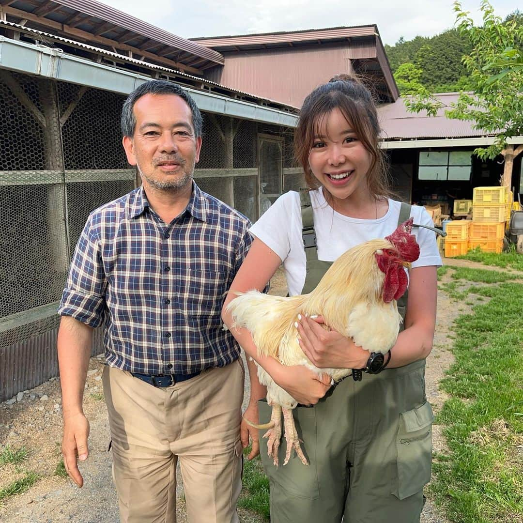 HIMAWARIさんのインスタグラム写真 - (HIMAWARIInstagram)「【鶏に育てられている】  田中さんのところにまたまた伺いました。  自給自足を実行し 今度は自分だけではなく 今後の日本人の未来の為に 自給村を作ることを考えています。  物質社会に生まれ、生きることで お金や労働、人の生き方に違和感を感じ 自らの力で生きていこうとする、生きている田中さん。  一言で言うなれば 達観している、 カッコいい漢です。  田中さんの真っ直ぐな人柄と想いを聞いていると 「何か手伝えることがないか」 と自然とそう思います。  実際に額に汗を垂らし身体を動かすことで見えてくるもの 感じるものがあると田中さんはよく仰ります。  本当にその通りで  東京に居ていくら村の現状、 農業、畜産、林業、漁業の今を調べていても  実際に行って現実を見て、知って体験をしないと  本当の意味での  「発信者」  にはなれないということです。  田中さんの想いや思想、やっていることが 「A」だとしても それを実際に見ずに感じずに私が伝えたら 全く違う「Ｚ」として皆んなに伝えてしまっているかもしれない。  しかしリアルに体験し体感すると そっくりそのまま「A」として伝えることはできずとも 「C」か「D」くらいで伝えることはできるかもね？ とそういうことなのです。  私たちの原点であり、 最終的に行き着く先、目指すべき場所は 自給自足であると頭ではわかってはいても 実際に行動に移さない人が殆どであろう。 物質社会に生まれ経済主義、資本主義の中で当たり前に生きていると本当に大切なものは見失なう。 お金がなくなった時にそこに残るものはなんだろう？  お金を稼ぐ人が偉い お金を持ってる人が凄い お金がないと幸せになれない  と、このような刷り込みと常識の中で 生きていると人間としての幸せや悦びは果たして一体どこにあるのだろうと考えさせられる  「鶏を育てているようで 鶏に育てられている」  田中さんの奥様が仰っていたこの一言が深いなぁと。  鶏を育ていのちをいただくことで 人間としてのしあわせや生きる意味なんかを 學ばせてもらっているんだなぁって。  餌にわけのわからない物を混ぜて 黄身の色を本来のレモンイエローではなく 赤っぽくしたりオレンジっぽくしたりって それ何のため？  鶏達を24時間電気がついているところで管理して決まった時間にレーンから餌が出てくる。そして卵を産め産めと産みたくもないのに産まされる。  鶏はロボットじゃない。  命です。  鶏を屠殺、羽毟り、解体、料理、食事  この一連の流れを自らでして  本当の意味で「命をいただくとは？」 を知るための 学習会も行います。  まずは上映会からでも企画するので 興味がある方は私の発信をチェックしておいてください😊  #自給自足 #自然卵 #平飼い卵  #自給自足生活」5月20日 7時08分 - himawari_miyazaki