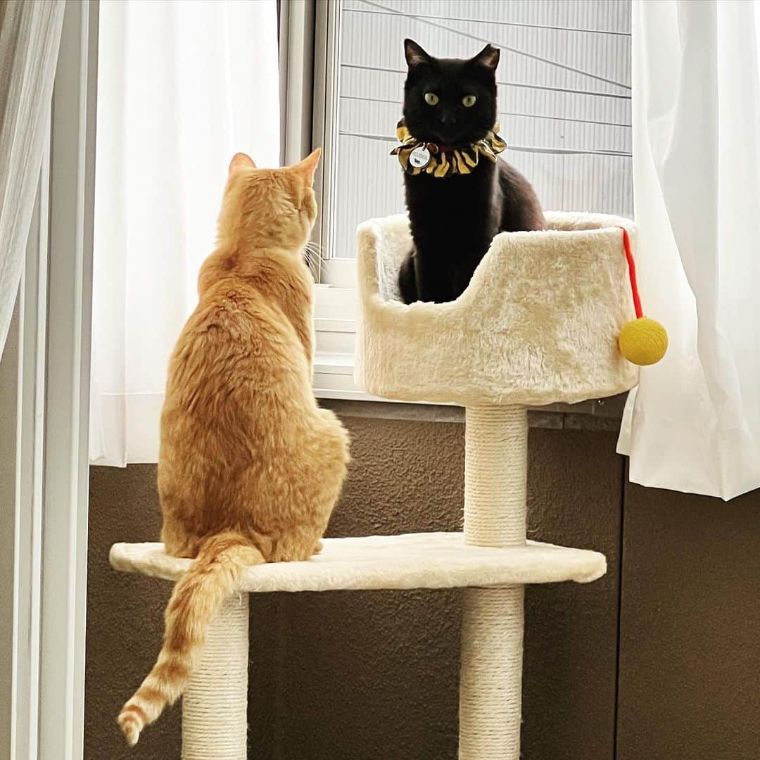 Nahoのインスタグラム