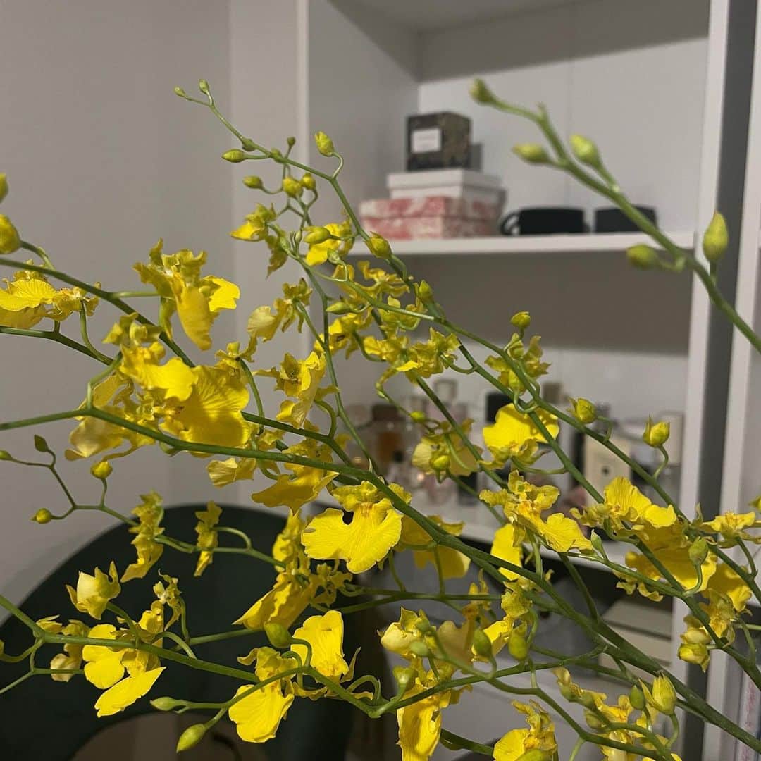 のインスタグラム：「#愛だらけ "蝶のように飛び立っていく" 幸せにむかうポジティブな花言葉まで添えてくれた気持ちが本当に嬉しかった。今週は沢山甘えて、沢山愛を感じた。改めて私には愛しかなくて、それが唯一の私の良さである事を気づかせてもらったな〜と、  愛のある人とだけいること。 過去も今もありがとう。  🫶🏼🌼 #あびーの独り言」