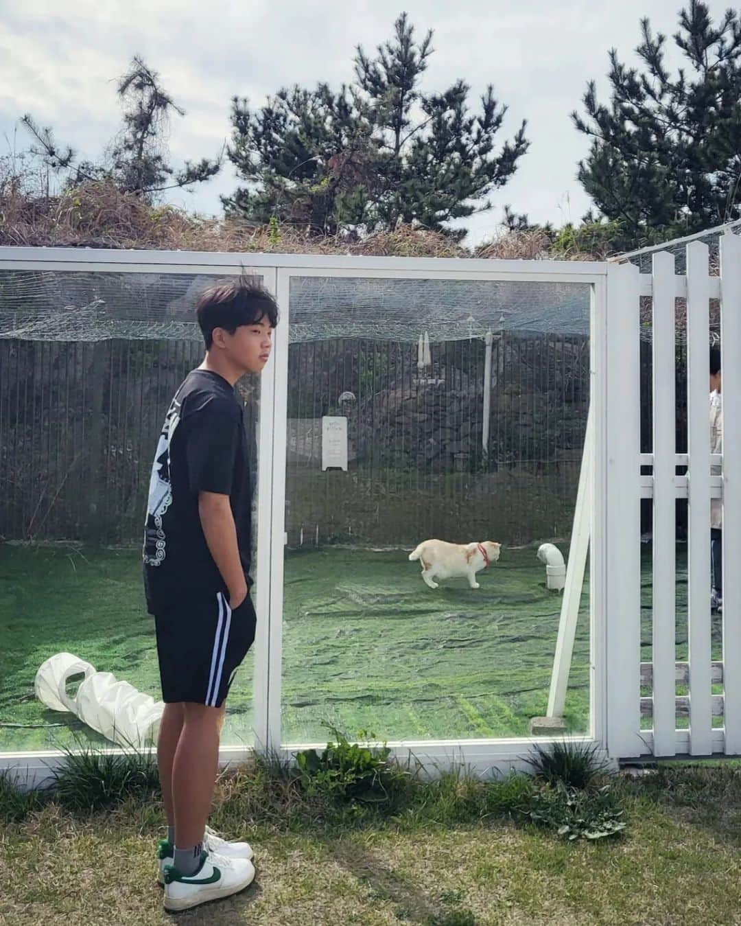 キム・ユンギョンさんのインスタグラム写真 - (キム・ユンギョンInstagram)「#정많은아들 은..🧏‍♂️ #하교길 횡단보도 사거리에서  신문지 한장만한 자리의  그늘을 의지삼아 부추 한줌 파시는 #백발할머니 를 또 못 지나가고.. 오늘 할머니 영업을ㅋ 다 끝내버렸다~🥰  어디선가 긁어 모으신 듯한  시든 부추 한봉지였지만 #아들의마음 은 그 어느 감정보다 싱싱하고 곧은 결이 보였다♡  만원을 내민 손이 죄송할 정도로 할머니의 등은 굽어 있었다고 말하는 아들.. 5천원의 거스름 돈은  '할머니 시원한거 사드세요..' 로 잔돈을 대신했다는데...  이 엄마는.. 그 마음이 이뻐 부추가 더 시들기전에 맛난 #부추전 을 만들어줄께😊 맛있게 먹으렴~🌿  #사춘기아들  #아들은성장하는중 #견고하게크거라 #너의미래 를응원해 #우리가족이야기 #김윤경라이프」5月20日 9時32分 - _yun_kyung__