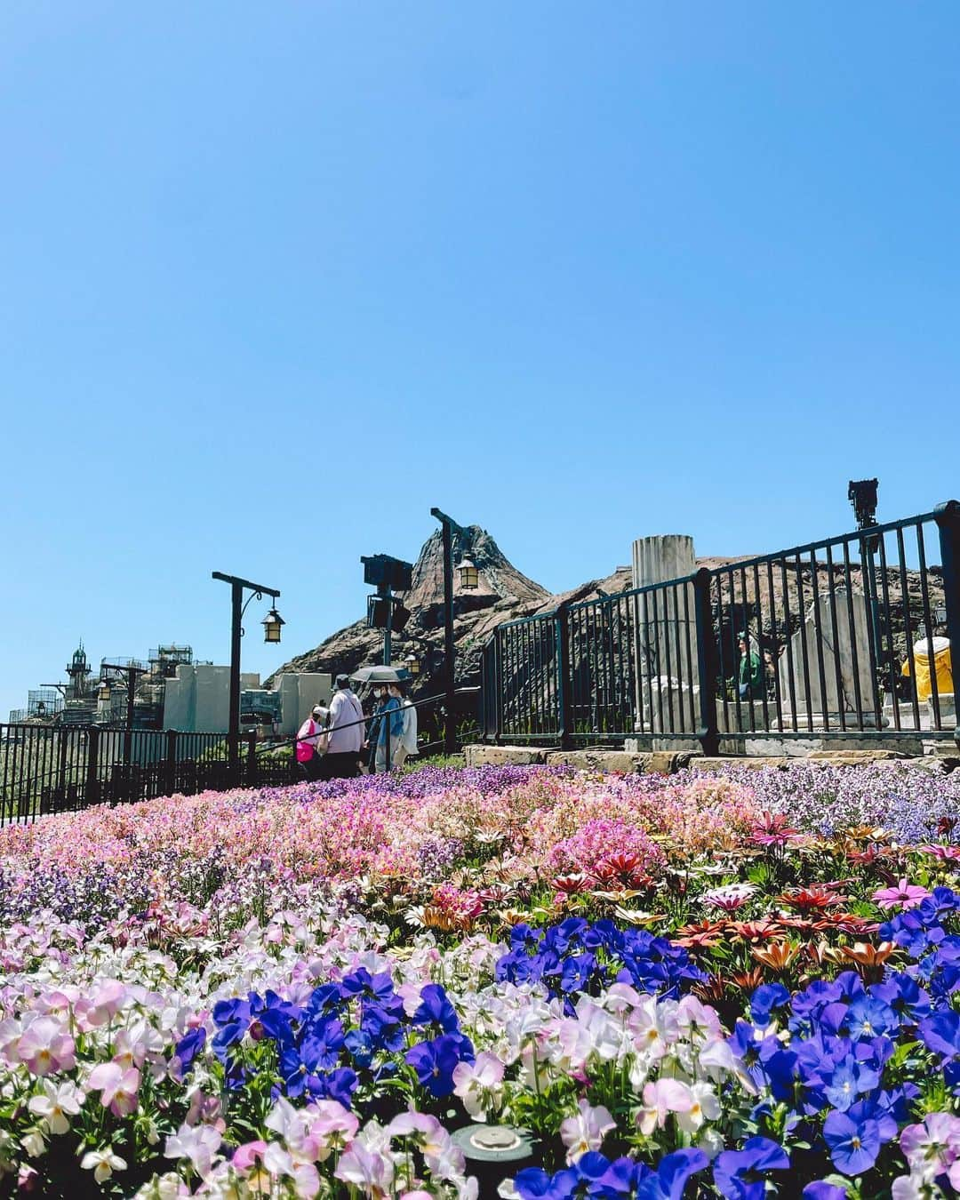 山下もえのインスタグラム：「ディズニーの花🌷  #ディズニーランド #ディズニーシー #東京ディズニーシー #東京ディズニーランド #東京ディズニーリゾート #tokyodisneyland #tokyodisneysea #tokyodisneyresort」