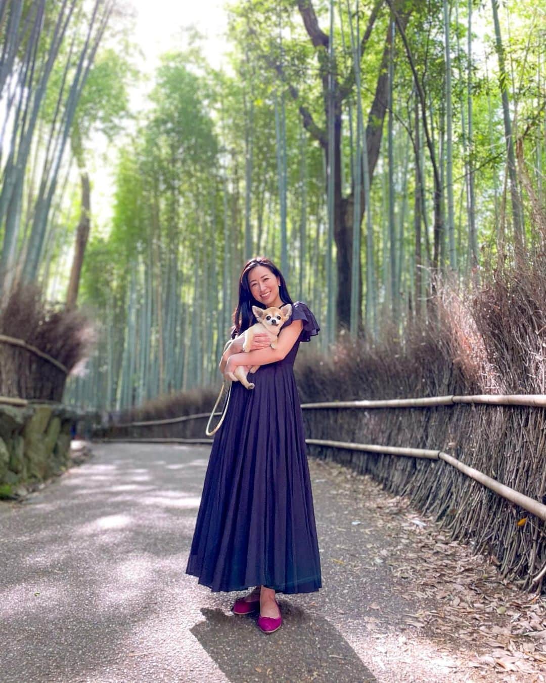 高倉絵理さんのインスタグラム写真 - (高倉絵理Instagram)「いつかの京都旅行③  空を覆う竹林が400mにわたって続く嵐山の「竹林の小径」  竹林が立ち並び、美しく静寂に満ちた京都観光では外せない名所です。   竹林からの木漏れ日や笹の擦れ合う音が心地良く、癒されました。  こちらはリードをしていればわんこOKとの事でした。 バイロンと一緒に行けるのが嬉しい！  📍 竹林の小径（嵐山） 京都府京都市右京区嵯峨小倉山田淵町  観光地となる場所では多くの人がいて犬アレルギーや苦手な方もいます。 またバイロンの安全面や排泄物にも注意しなければいけないので、このような場所ではバイロンは抱っこやバッグに入れて移動するように心掛けています。  #京都旅行 #京都観光 #京都 #竹林 #竹林の小径 #京都の竹林 #わんことお出かけ #わんこと一緒 #わんこと京都 #嵐山 #kyoto #kyototrip #kyototravel」5月20日 10時05分 - eri_t28
