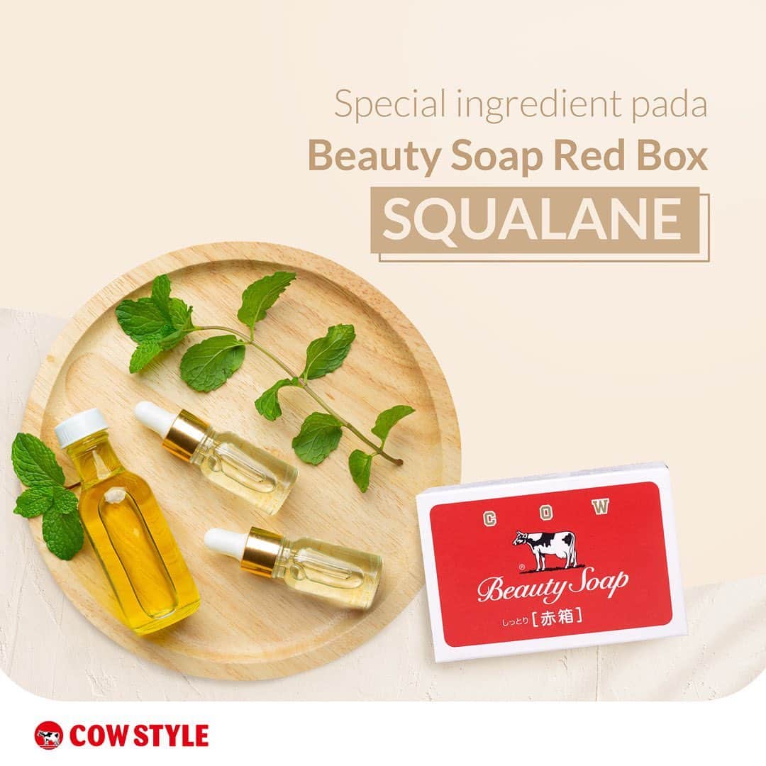COWSTYLEIDのインスタグラム：「Tahu kan kalau manfaat utama squalane itu untuk melembabkan kulit. But, did you know kalau kulit kita itu mengandung squalane?  ⠀⠀⠀⠀⠀⠀⠀⠀⠀ Faktanya, squalane yang terkandung di kulit manusia, biasanya akan berkurang secara drastis mulai usia 30-an.  ⠀⠀⠀⠀⠀⠀⠀⠀⠀ Pakai Beauty Soap Red Box ya untuk menjaga kandungan squalane di kulit supaya kulit senantiasa lembab 😘🥰 ⠀⠀⠀⠀⠀⠀⠀⠀⠀ #cowstyleindonesia #cowstylebeauty #beautysoapredbox #redboxsoap #cowstyle101」