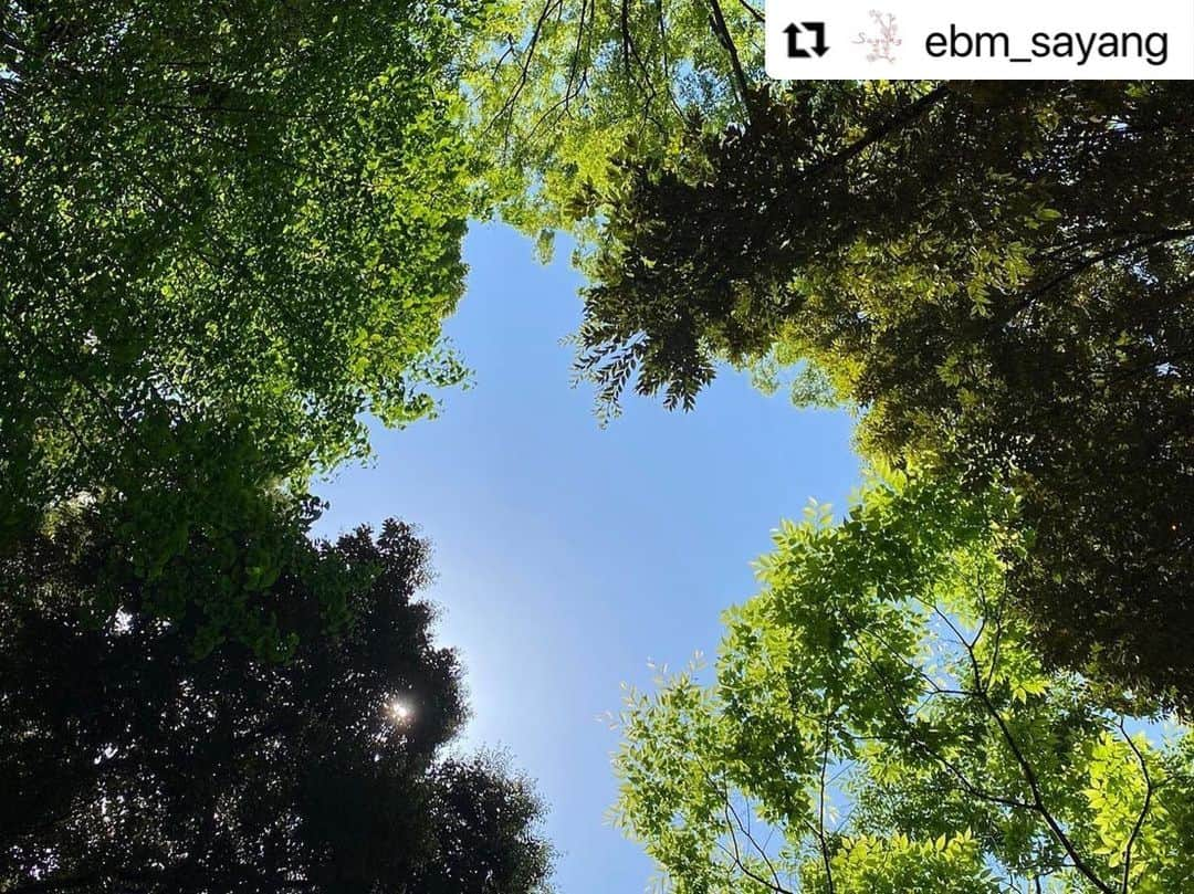 堤信子さんのインスタグラム写真 - (堤信子Instagram)「#Repost @ebm_sayang with @use.repost ・・・ おはようございます☀  今週もフリーアナウンサー堤信子さん @nobnob1111 のミニエッセイ、 「あなたの心地良さを作る習慣」をお届けします✨  習慣87. 週末は空を見上げる  最近スマホの写真を見返していて気づいたこと。 それは、週末になると、よく空の写真が出てくることです。 無意識のうちに、週末空を見上げては、パチリパチリとシャッターを切っています。  空を見上げる時は、おそらく心のリセットをしている時。 あるときは、「神様ありがとう」 あるときは「ま、いいか」などと、 いろんな言葉を心の中で呟きながら空を見上げている気がします。 今週一週間、やることがいっぱいで余裕がなかった私ですが、この週末もきっと空を見上げて「なんとかなったよ、ありがとう」と、空に報告します。  心のリセットは、空を見上げて！！  週末の空は、晴れていても曇っていても、「お疲れ様」と、優しく私たちを包んでくれるはずです。  #ebm #ebmさやん #イービーエム #化粧品会社 #堤信子 #feelincafe #あなたの心地良さを作る習慣  #週末の過ごし方 #空が好き #心のリセット」5月20日 11時41分 - nobnob1111