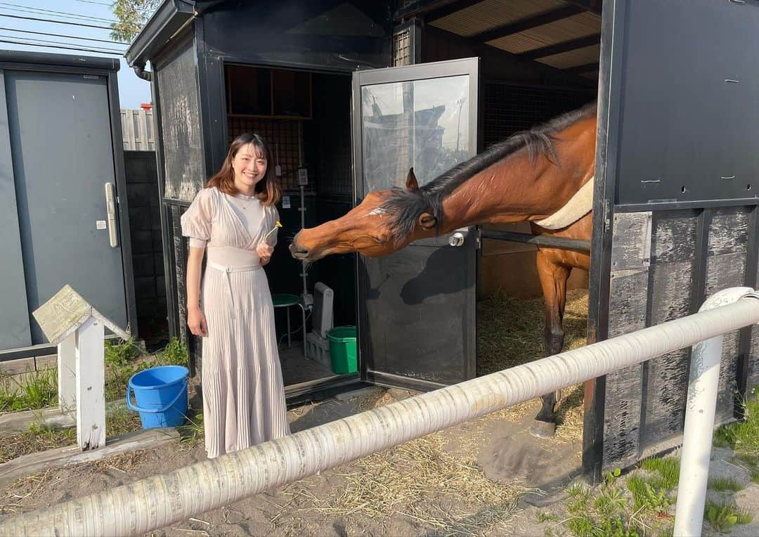 湯浅知里さんのインスタグラム写真 - (湯浅知里Instagram)「♡♡ . . パドック進行🏇✨✨ 実況チーム⭐️ 舩山親方と三宅さん😋✨ . . 道中はずーっとお喋り🐴 とっても賑やかです‼︎ . 親方が珍しく万馬券を2回当てていました😝 . ゴゼンとの写真を振り返ったらおちゃめなショットが😳 舌出しちゃって可愛いな🥺 . . 2023.5/17(水)」5月20日 22時22分 - chisato.y515