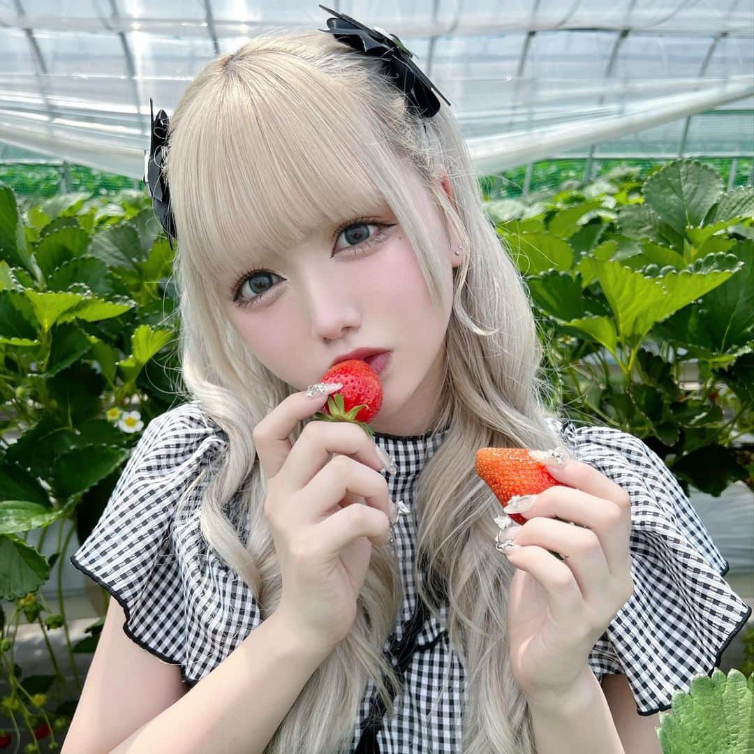 のインスタグラム：「🍓」