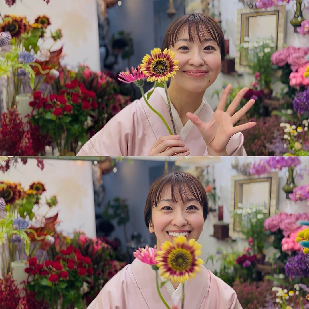 山田友美のインスタグラム：「今週はひまわりをお迎え🌻 #花のある暮らし #花#flowers #着物#着物女子#着物初心者#kimono#フリーアナウンサー#アナウンサー#山田友美」
