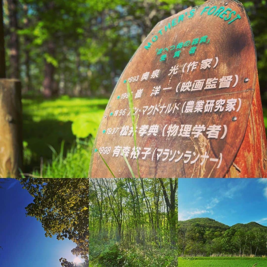 有森裕子のインスタグラム：「🌳😆🌳😆🌳❣️  深呼吸を 何度も ずっとしていたくなる…」