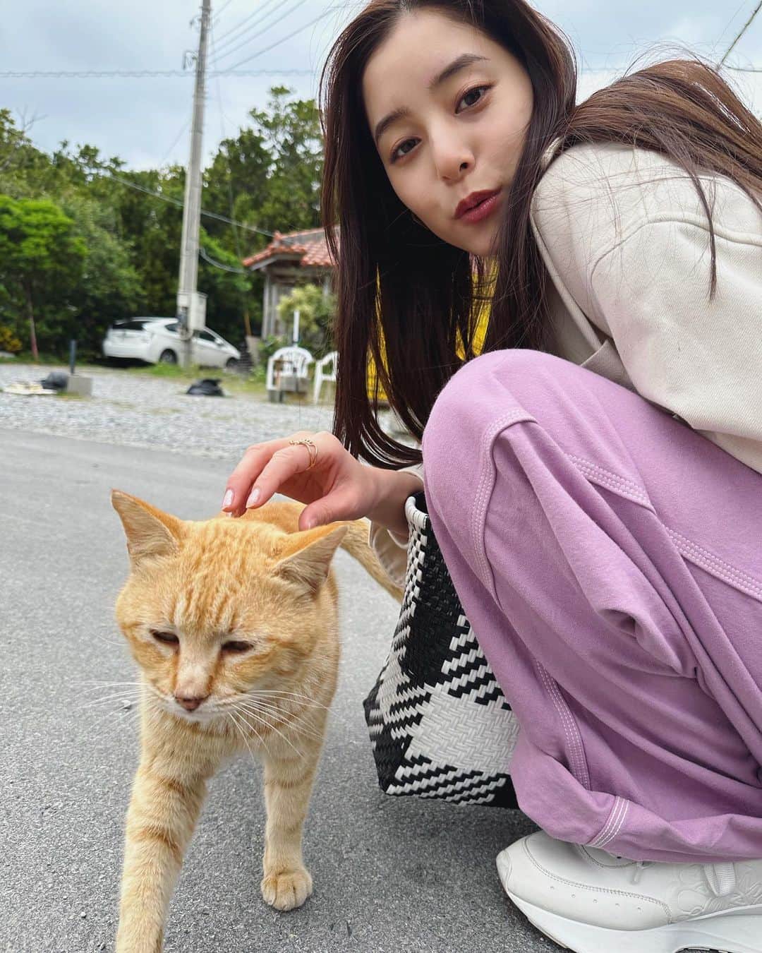 新木優子さんのインスタグラム写真 - (新木優子Instagram)「沖縄猫ちゃん🐈 "あらきあるき"新エピソード追加されました♡ ぜひチェックしてください♡」5月20日 22時50分 - yuuuuukko_