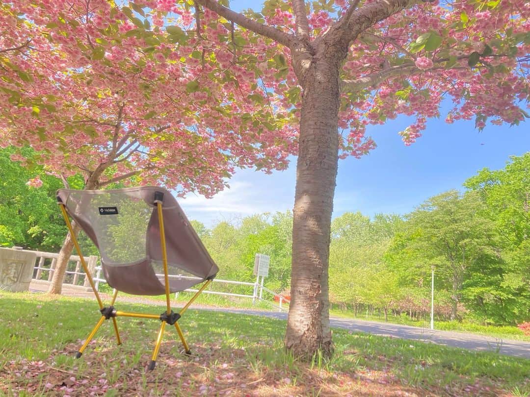 HBC北海道放送アナウンス部さんのインスタグラム写真 - (HBC北海道放送アナウンス部Instagram)「近藤肇です。  陽気に誘われ近場を自転車で。  八重桜は花にボリュームがあって楽しいですね。  5月も終わろうとしているのに雪堆積場にはこんなに雪が残っていました。これを冷熱源にして夏場の冷房に活用できたらいいのになあ。」5月20日 22時47分 - hbc_announcer