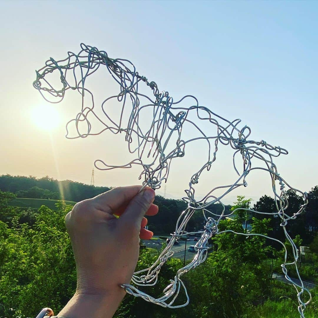 松川浩子さんのインスタグラム写真 - (松川浩子Instagram)「息子が学校で作ってきた ワイヤーアート  ギガノトサウルス よーでけてる！  オカンは嬉しくなって 口から炎をを出してやろうと この恐竜をもって 歩き回っておりました。  子どもの才能って 無限大。  当の私は 入社25年目にして ナレーションで アノンシスト賞を 頂けました🤩  オカンも頑張るわ。  #息子が頑張るから母も頑張る #ワイヤーアート #アノンシスト賞 #ナレーションが好き」5月20日 22時52分 - hiroko_matsukawambs