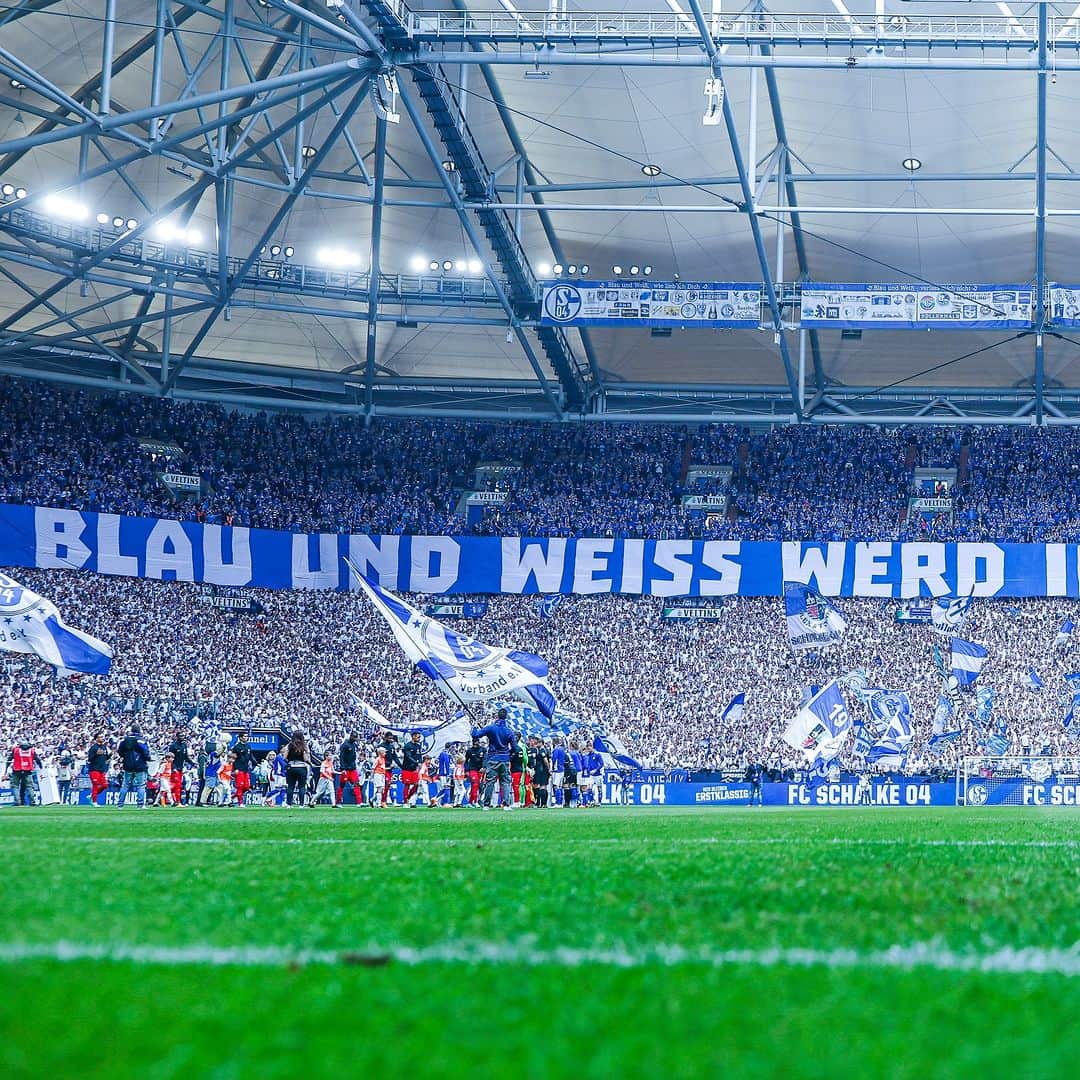 シャルケ04のインスタグラム：「Auf geht’s, Blau-Weiß! 🔵⚪️ . . #Schalke #S04 #S04SGE #Football #Soccer #Fußball #Futbol #Knappen #🔵⚪️」