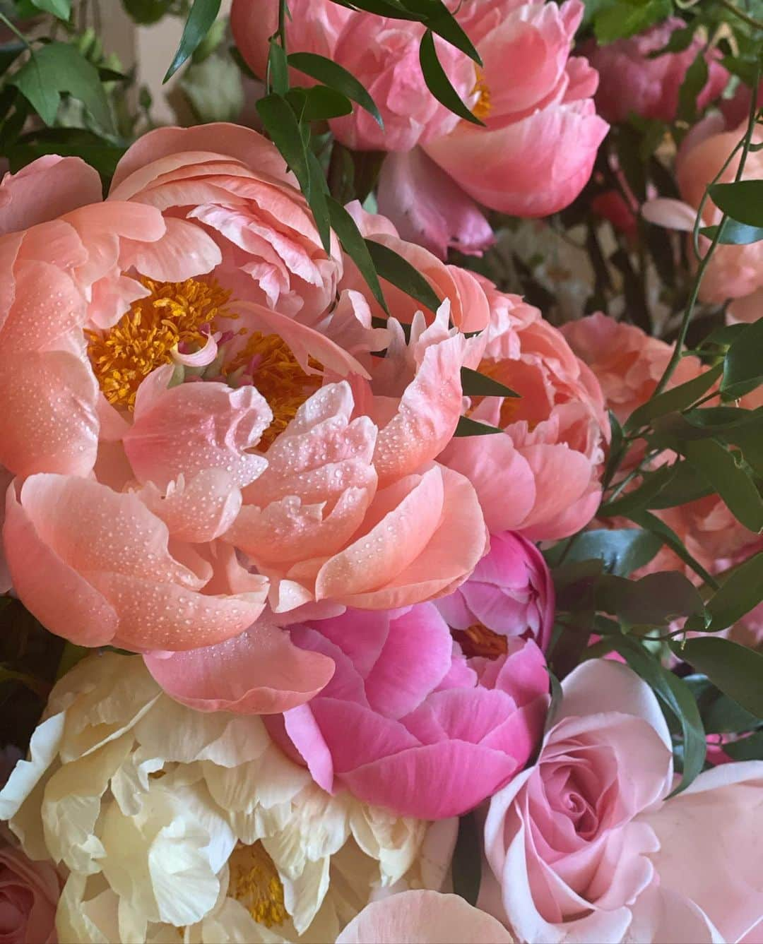 レイチェルロイさんのインスタグラム写真 - (レイチェルロイInstagram)「Peonies, my favorite non scent flower, as far as the eye can see 🌸  #RachelRoy #Beauty #Nature #Peonies」5月20日 23時06分 - rachel_roy