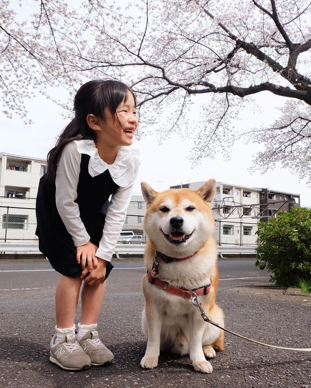 せんべえのインスタグラム