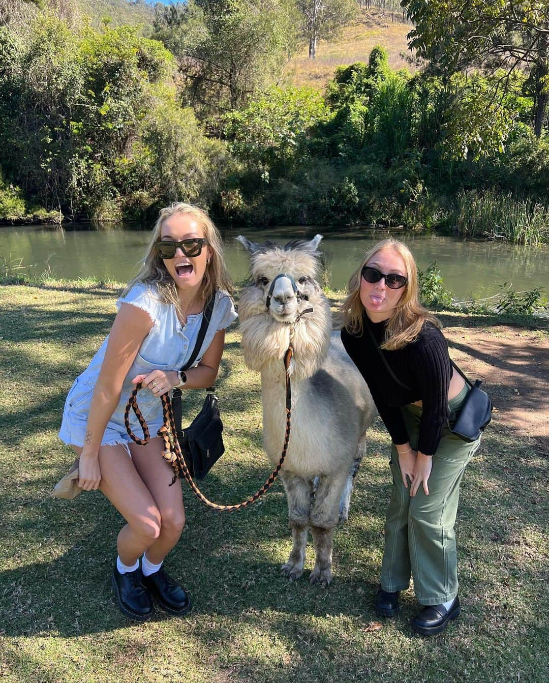 Ellie BEERさんのインスタグラム写真 - (Ellie BEERInstagram)「it’s official. we are opening an alpaca farm @katie_hayward」5月20日 16時26分 - elbellbeer