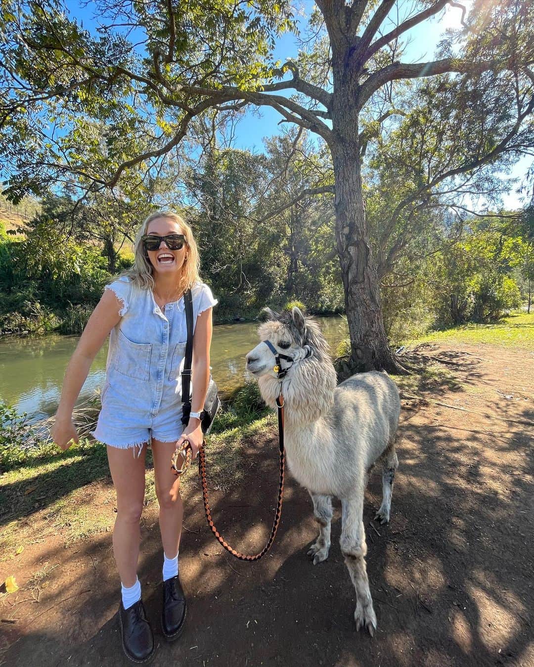 Ellie BEERのインスタグラム：「it’s official. we are opening an alpaca farm @katie_hayward」