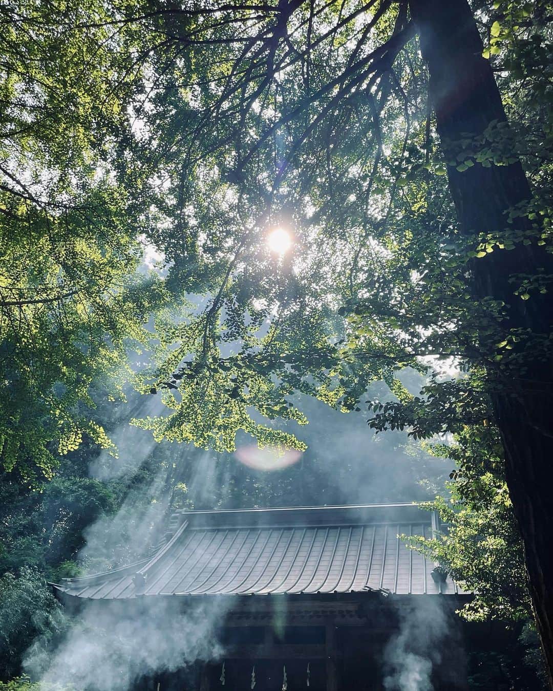 文音さんのインスタグラム写真 - (文音Instagram)「🌪🎥 松明を焚いて神社での祀りのシーンの撮影中、本番回った瞬間ぶわっと強い風が本堂からこちらに吹いた。強い炎と煙が舞った。 なんとも神秘的な瞬間に遭遇した。 後から調べたらこの神社 黒澤明監督が七人の侍を撮った場所だった。映画の神様がいたかな。  色んな意味で物凄い狂ってる企画の作品に参加しました。  めっちゃくちゃ疲れた‼︎ 本当すっごい企画だったなぁ笑  大好きなスタッフがいた現場だった。  解禁お楽しみに。 衣装がなんとも🤭」5月20日 16時28分 - ayanestagram_official