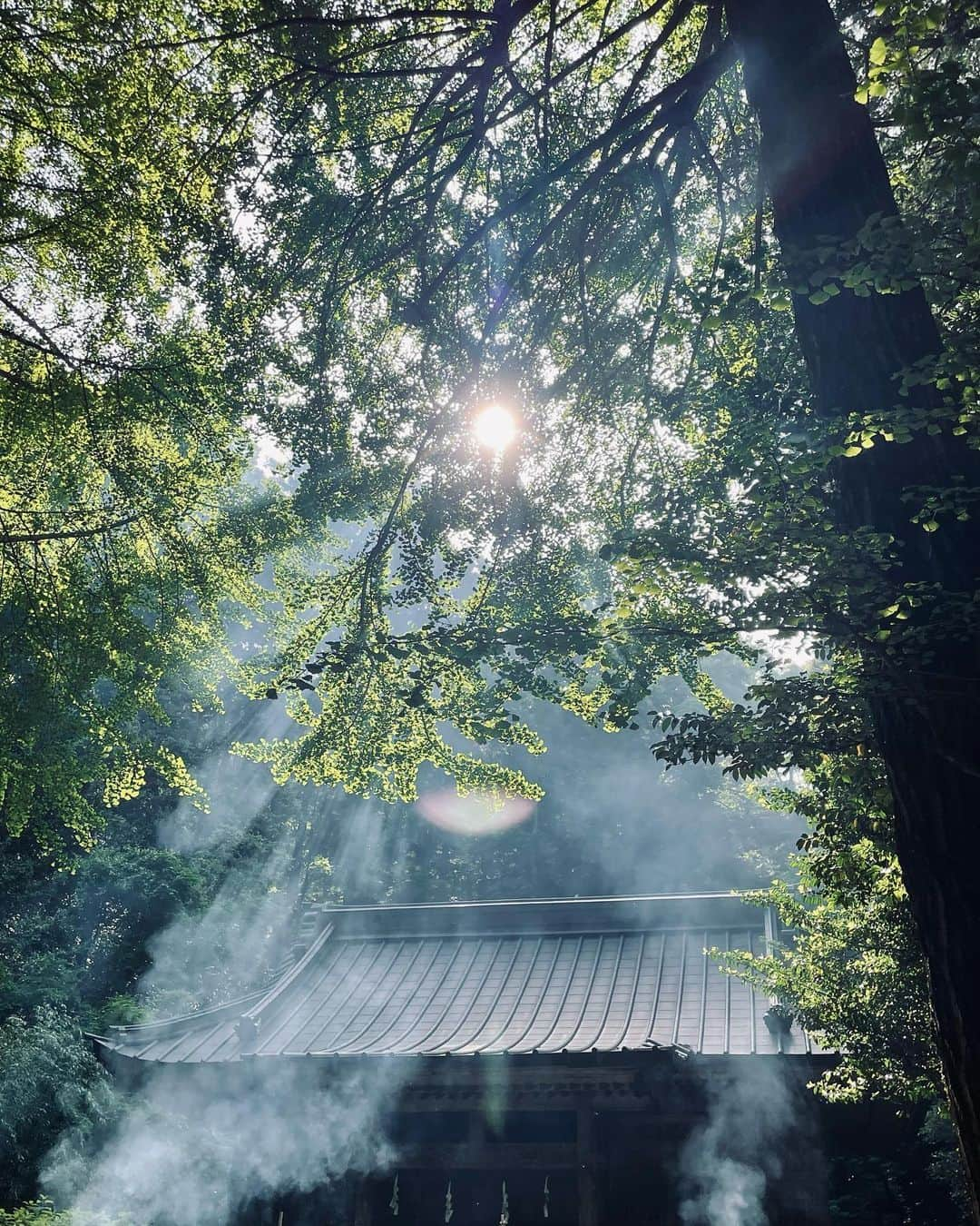 文音のインスタグラム：「🌪🎥 松明を焚いて神社での祀りのシーンの撮影中、本番回った瞬間ぶわっと強い風が本堂からこちらに吹いた。強い炎と煙が舞った。 なんとも神秘的な瞬間に遭遇した。 後から調べたらこの神社 黒澤明監督が七人の侍を撮った場所だった。映画の神様がいたかな。  色んな意味で物凄い狂ってる企画の作品に参加しました。  めっちゃくちゃ疲れた‼︎ 本当すっごい企画だったなぁ笑  大好きなスタッフがいた現場だった。  解禁お楽しみに。 衣装がなんとも🤭」