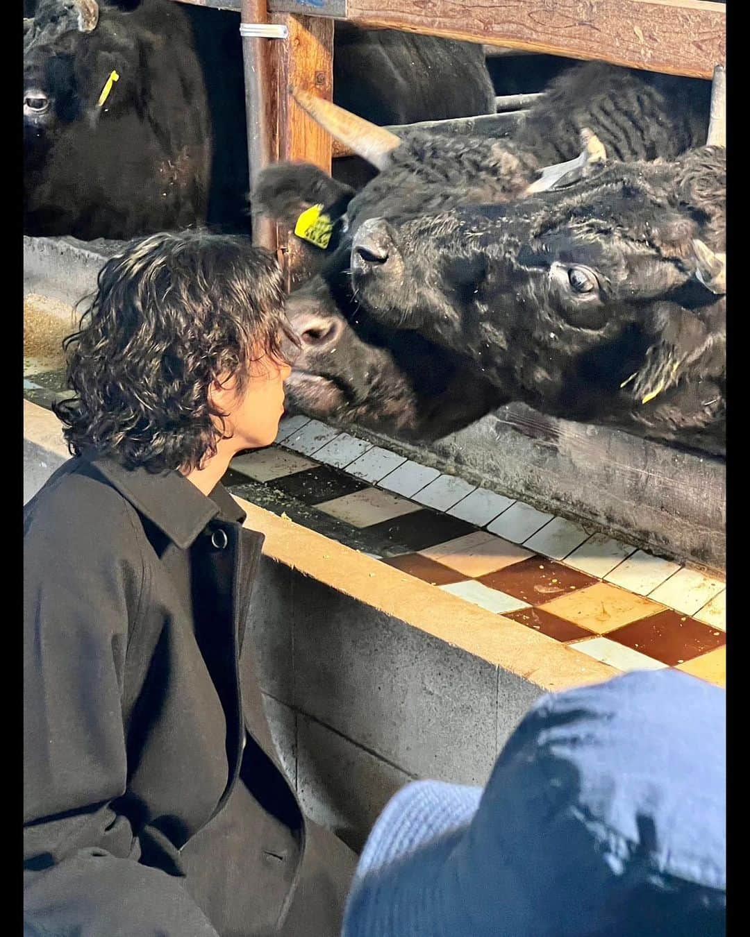 山田将司さんのインスタグラム写真 - (山田将司Instagram)「僕の地元、茨城県土浦市の土浦ブランドPR動画に出演しました。  https://youtu.be/U9FlHpiKcPo」5月20日 16時29分 - y.masashiii