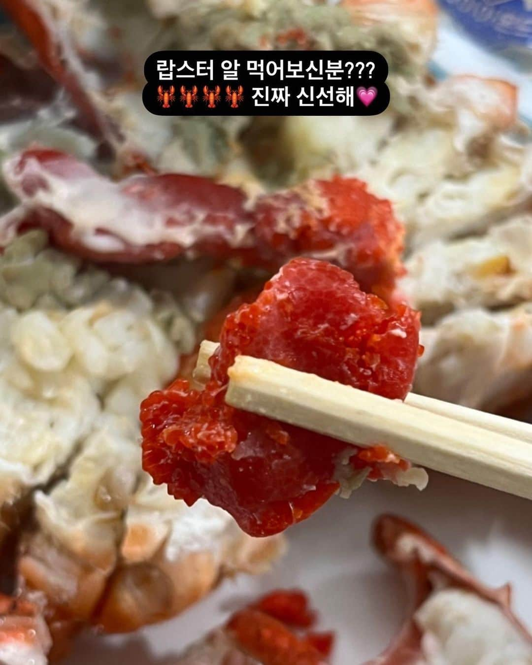 ハヌルさんのインスタグラム写真 - (ハヌルInstagram)「크흐흫ㅋㅋㅋ 저는 어제 울산왔다 부산에서 창원들리구 올라가는중이에요!!!!  어제 오랜만에 갔다온 #해운대포장마차 랍스터코스 요고 드셔보신분???? 부산사람들은 잘 안간다고.. 우리 퐈니실장님이그러던데 맞나요..?😊?  다음주 월요일 자로우 오픈! 제가 스토리에 구성올려놓았어요😘」5月20日 16時50分 - haneulina