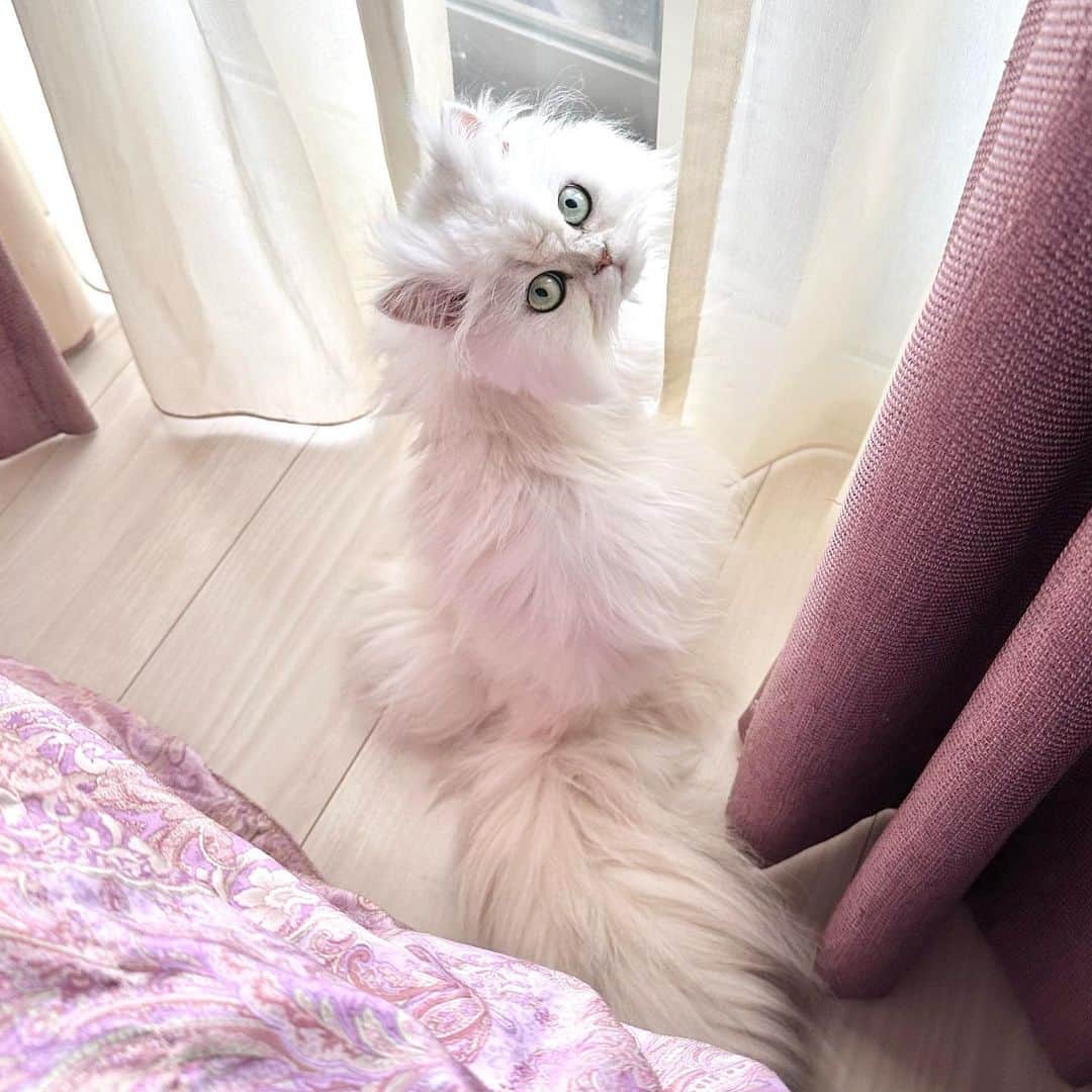 manami☺︎satoのインスタグラム