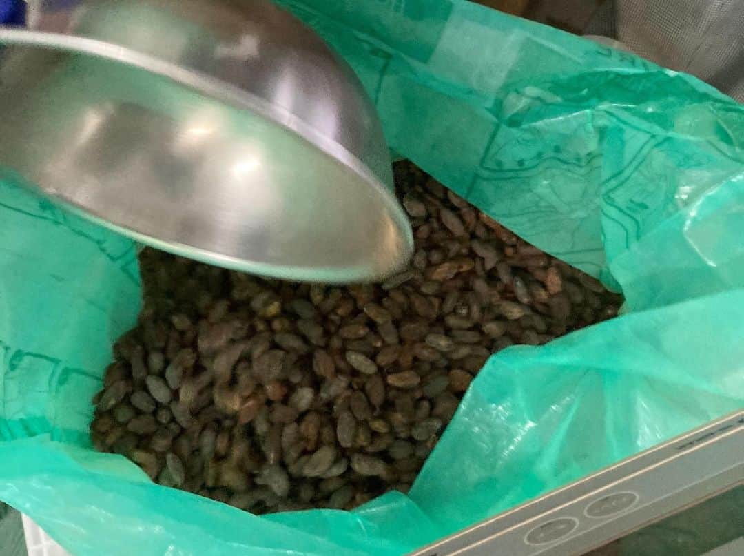 green bean to bar CHOCOLATEさんのインスタグラム写真 - (green bean to bar CHOCOLATEInstagram)「ペルー・ピウラ地方モロッポン州から、はるばる海を越えて、約3tのカカオ豆が届きました！  今回届いたのは、「自然界の宝石」と称される“ナティーボブランコ”と、“パロブランコ”。どちらも苦味や渋みの少ないホワイトカカオを多く含む、非常に希少で高品質なカカオ豆です。  これから14もの工程を経て、手作業で美味しいチョコレートを作っていきます🍫  About 3 tons of cacao beans have arrived from Moroppon, Piura, Peru, which is famous for producing a lot of white cacao!  We will make delicious chocolate by hand from now on.  #greenbeantobarchocolate #グリーンビーントゥバーチョコレート #beantobarchocolate #craftchocolate #クラフトチョコレート #チョコレート専門店 #ビーントゥバー #カカオ豆 #cacao #カカオ」5月20日 17時37分 - greenbeantobar_chocolate