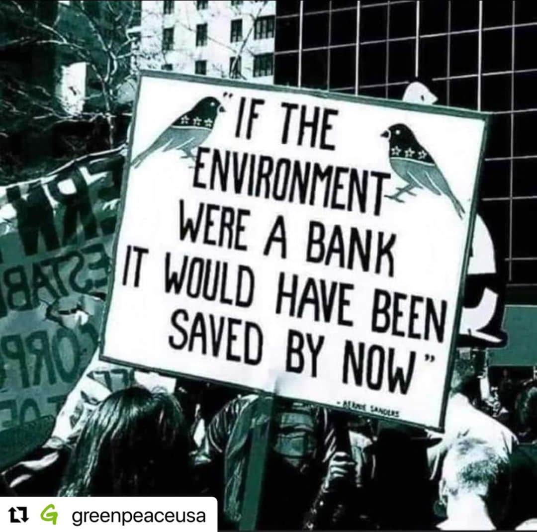 アレック・ボールドウィンのインスタグラム：「…@greenpeaceusa Banks pour into the fossil fuel industry, driving climate chaos & causing deadly local community impacts. 😤😤⁣ ⁣ If only our governments would bail out our planet with the same effort they do our banks. 🙃」