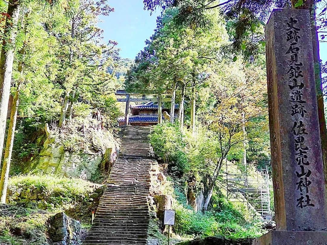 市川みかさんのインスタグラム写真 - (市川みかInstagram)「世界遺産の石見銀山。  石見銀山までは一般車が入れないので、パーキング近くのレンタサイクルから自転車で向かいます🚲 歩くと片道45分程かかりますが、自転車だと10〜15分程で到着しました！  石見銀山自体はよくある採掘跡地の洞窟だったけれど、その周辺の『大森銀山伝統的建造物群保存地区』の街並みがとても素敵でした✨  室町時代初期(1527年)に発見され、関ヶ原の戦い後からは徳川家が支配していた所。 かつてこの銀山は世界の産銀量の3分の1を占めていて、世界遺産に登録された、アジアで初めての鉱山遺跡なんですと。  お食事処『おおもり』にて、代官そば定食をいただきました🥢  　 #47都道府県全制覇 #島根 #出雲 #石見銀山 #大森銀山伝統的建造物群保存地区 #重要伝統的建造物群保存地区 #世界遺産 #国指定史跡 #県指定史跡 #タビジョ #女子旅 #旅 #旅行 #観光 #国内旅行 #trip #travel #tourist #travelgram #shimane #izumo #iwamiginzan #worldheritage #InstagramJapan #lovers_japan #photo_jpn #pics_japan」5月20日 17時46分 - ichikawa_mika