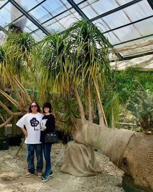 大地真央のインスタグラム：「先日 「そら植物園」に行って来ました🪴 迫力に圧倒されながら、気持ちのいい空間で シャンパン🍾と美味しいスイーツまでいただいて リフレッシュできました！！  私達が到着するちょっと前までは 結構☂雨が降っていたそうですが、、 やっぱり、晴れ☀ました−٩(^‿^)۶  #そら植物園 🪴 #sorafarm #シャンパン 🍾🥂 #ravierelier #ラヴィルリエ 🍪 #リフレッシュ　 #大地真央 #MAODAICHI #森田恭通 #yasumichimorita」