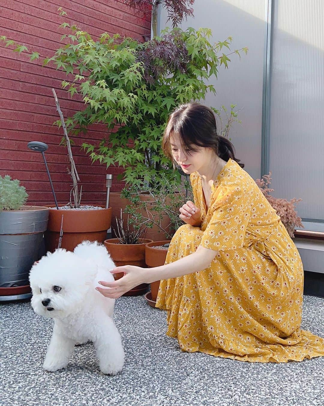 ソン・ヘギョさんのインスタグラム写真 - (ソン・ヘギョInstagram)「☀️🐾」5月20日 18時30分 - kyo1122