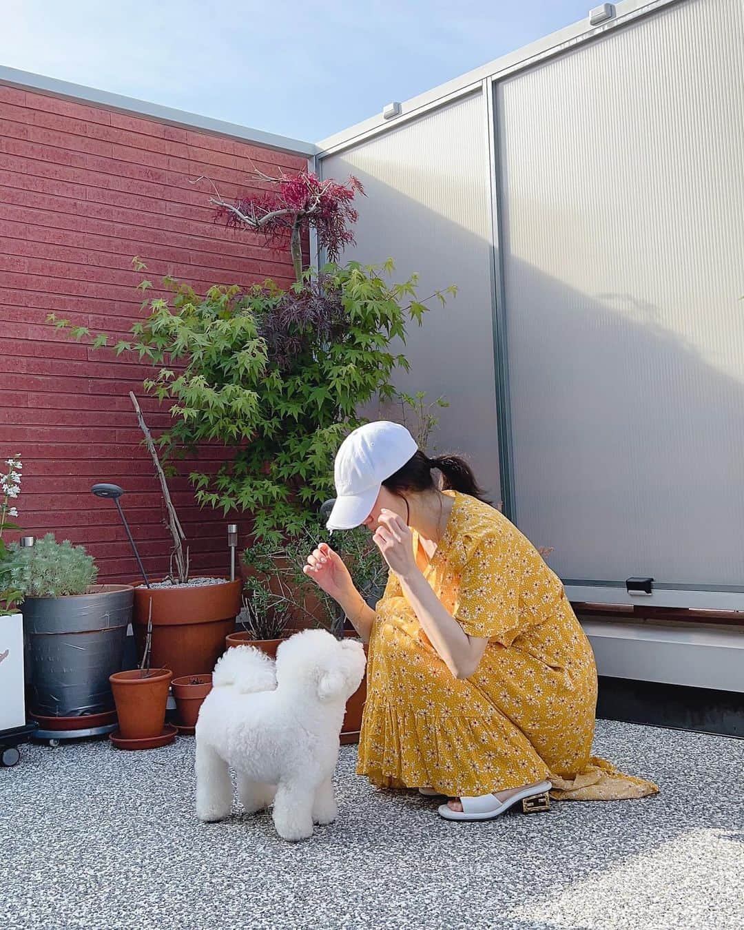 ソン・ヘギョのインスタグラム：「☀️🐾」