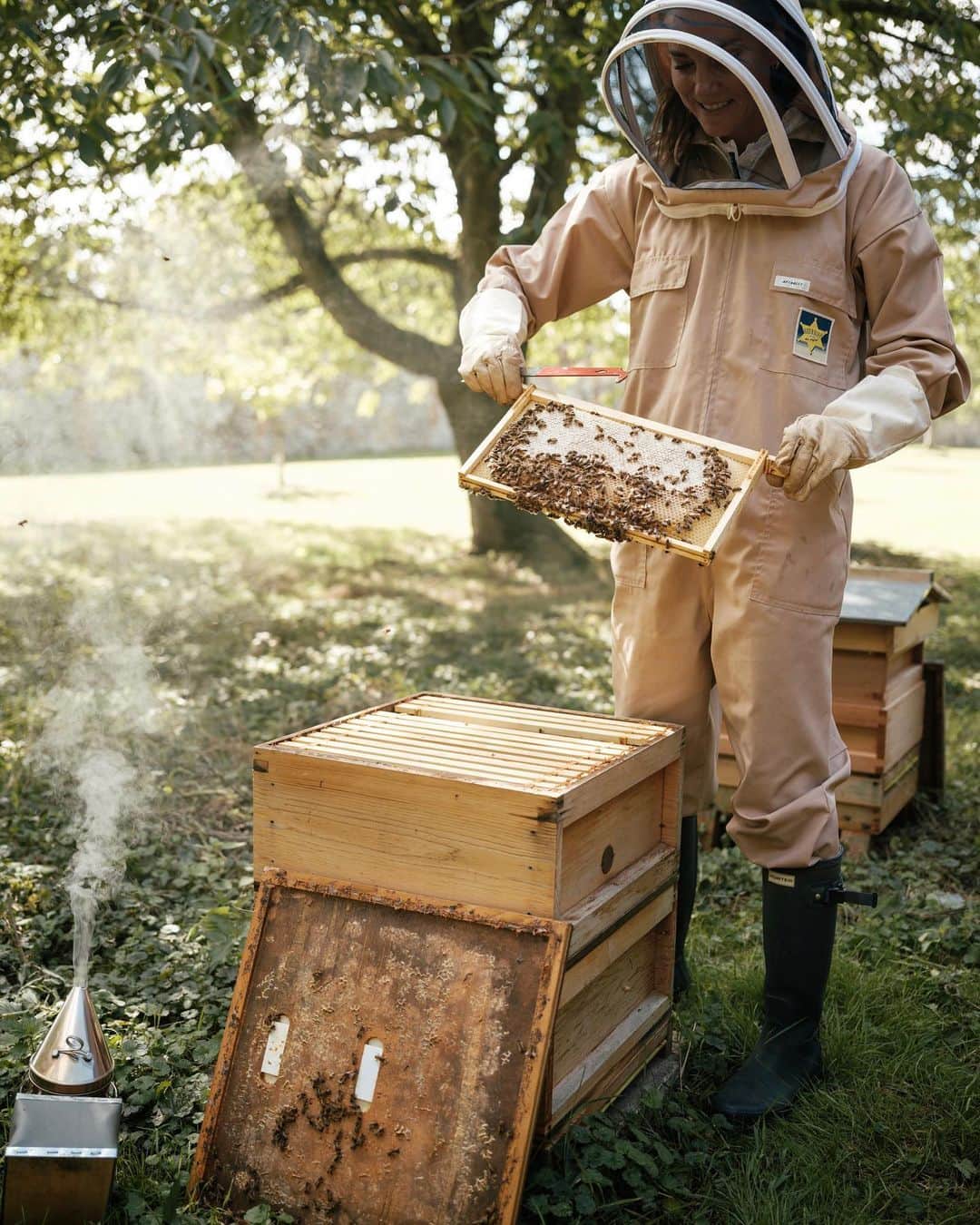 ウィリアム（ケンブリッジ公）さんのインスタグラム写真 - (ウィリアム（ケンブリッジ公）Instagram)「We are buzzing about #WorldBeeDay 🐝  Bees are a vital part of our ecosystem and today is a great opportunity to raise awareness of the essential role bees and other pollinators play in keeping people and the planet healthy.  📸 @mattporteous」5月20日 18時32分 - princeandprincessofwales