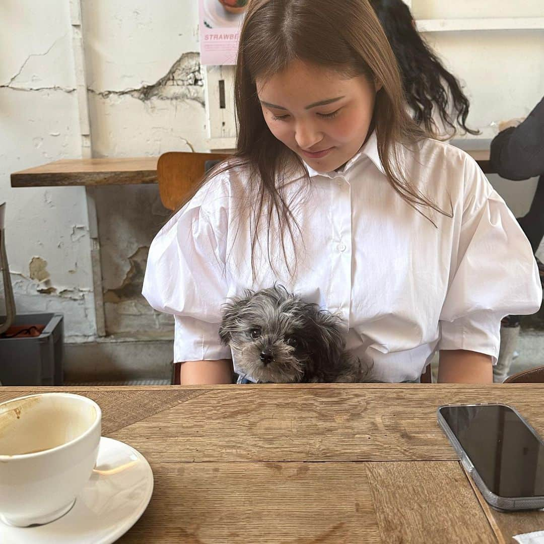 Mika Jimboさんのインスタグラム写真 - (Mika JimboInstagram)「【 わんこといけるお店🐶】  🐶 @happy_hour2020  📍 Tokyo/Hiroo  広尾の美味しいサラダやさんで店内わんこOK🐶サラダがメインだけど、サンドイッチもあるよ🥪🥗  この時はローストビーフサンドとオニオングラタンスープ、あとレモネードを注文✍️💕  レモネードかなり美味しい、サンドイッチも美味しい👏🥪  お肉の味が美味しいから満足度高いし、これはサラダランチもありだな😐💕  次はサラダ食べてみよっと！ オニオングラタンスープは薄味で優しい味のスープ🥣🤤  またいく！  #広尾#広尾カフェ #広尾グルメ #広尾ランチ #広尾ごはん#広尾ディナー #hiroo#ebisu#わんことお出かけ #わんこと一緒 #わんこのいる暮らし #わんことお出かけ #わんこなしでは生きていけません会」5月20日 19時09分 - mikajimbox