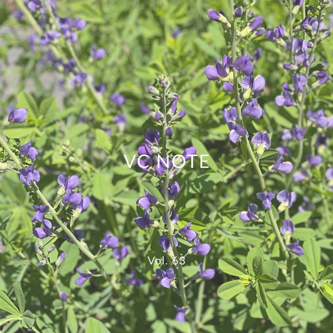 のインスタグラム：「VASIC NOTE Vol.63を公開しました。  今回はニューヨークのおすすめのカフェをご紹介しています。 ぜひご覧ください。  - VASIC NOTEはVASICウェブサイト内ニュースページよりご覧いただけます -  #vasic #vasicnote #vcnote #vol63 #newyork #cafe #newyorkcity #ヴァジック #musthavebags #baglover  #vasicnews」