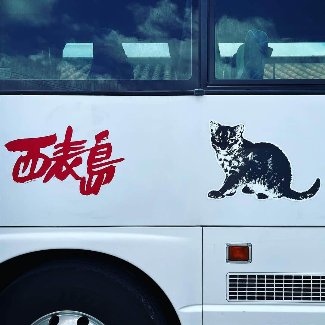 takegaeruさんのインスタグラム写真 - (takegaeruInstagram)「旅で会ったにゃんこ達 離島ではにゃんこものんびり😽 #石垣島 #竹富島 #猫 #cat」5月20日 19時47分 - takegaeru