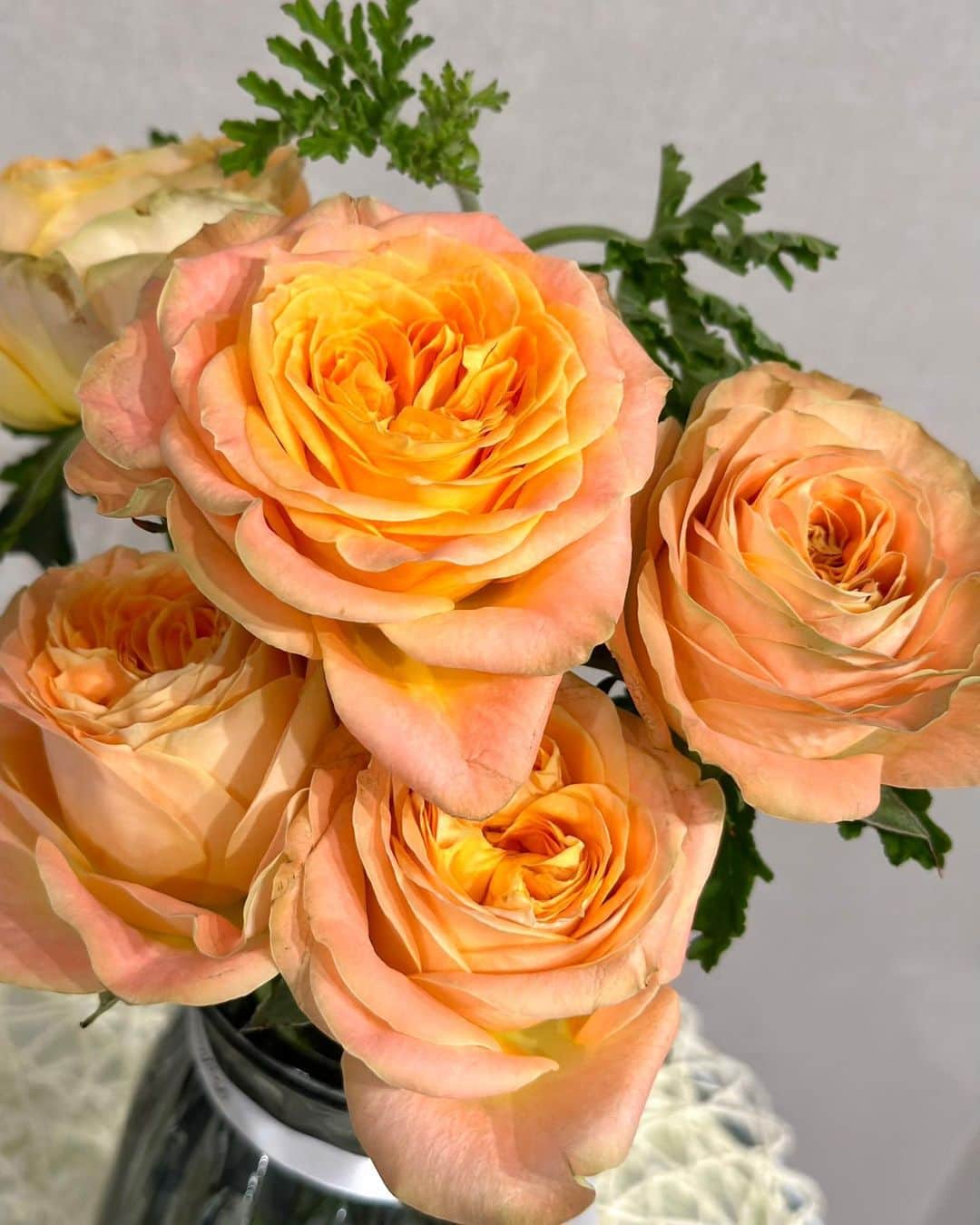 美波千夏さんのインスタグラム写真 - (美波千夏Instagram)「. 毎月の楽しみ！お花の定期便💓 今月はスピキュール＋ゼラニューム @moafura_official  自分で買う時はピンク色を選びがちだけど オレンジ色の薔薇もかわいい🧡🧡  新たな発見ができるのも 定期便のいいところ♬  .  #moafura  #モアフラ #お花の定期便 #お花のある暮らし #お花のある生活 #バラ花束 #バラ定期便 #バラサブスク #バラギフト　 #バラ #rose #花束 #ギフト #gift #薔薇」5月20日 19時47分 - chinatsu_minami